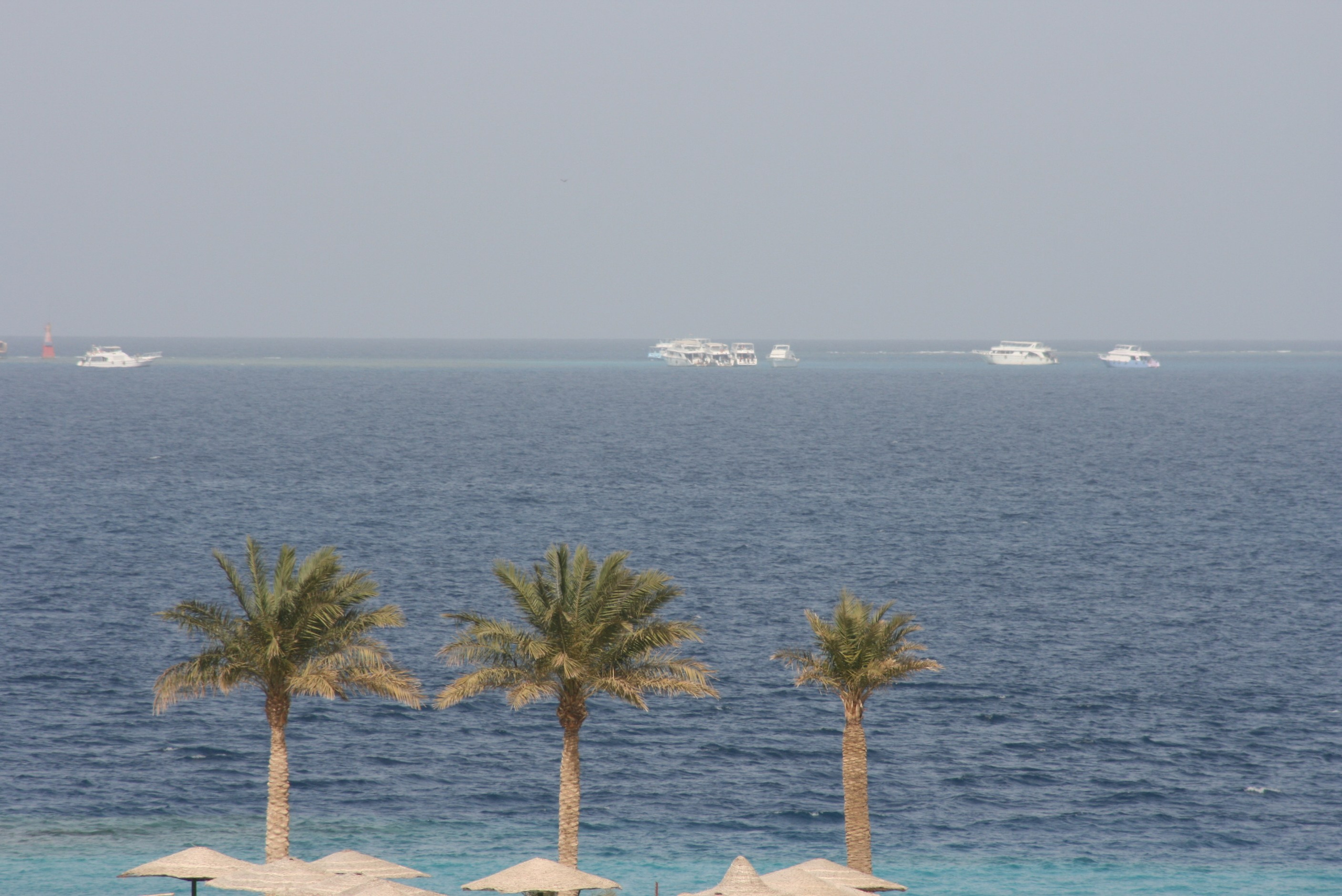 Египет. Главная