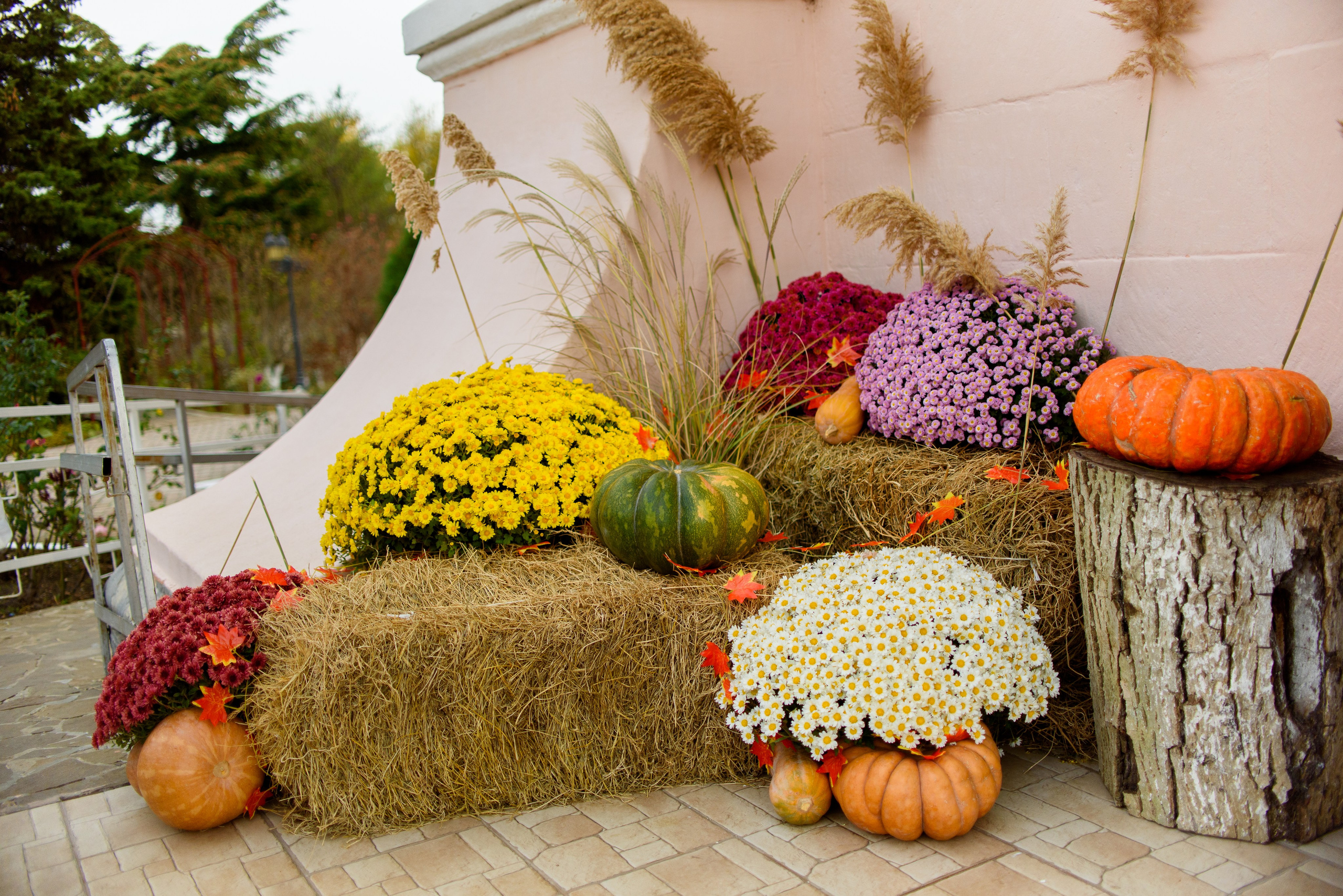 День памяти Казанской иконы Божьей Матери 4.11.2023. Семейный и свадебный фотограф в Феодосии и Коктебеле