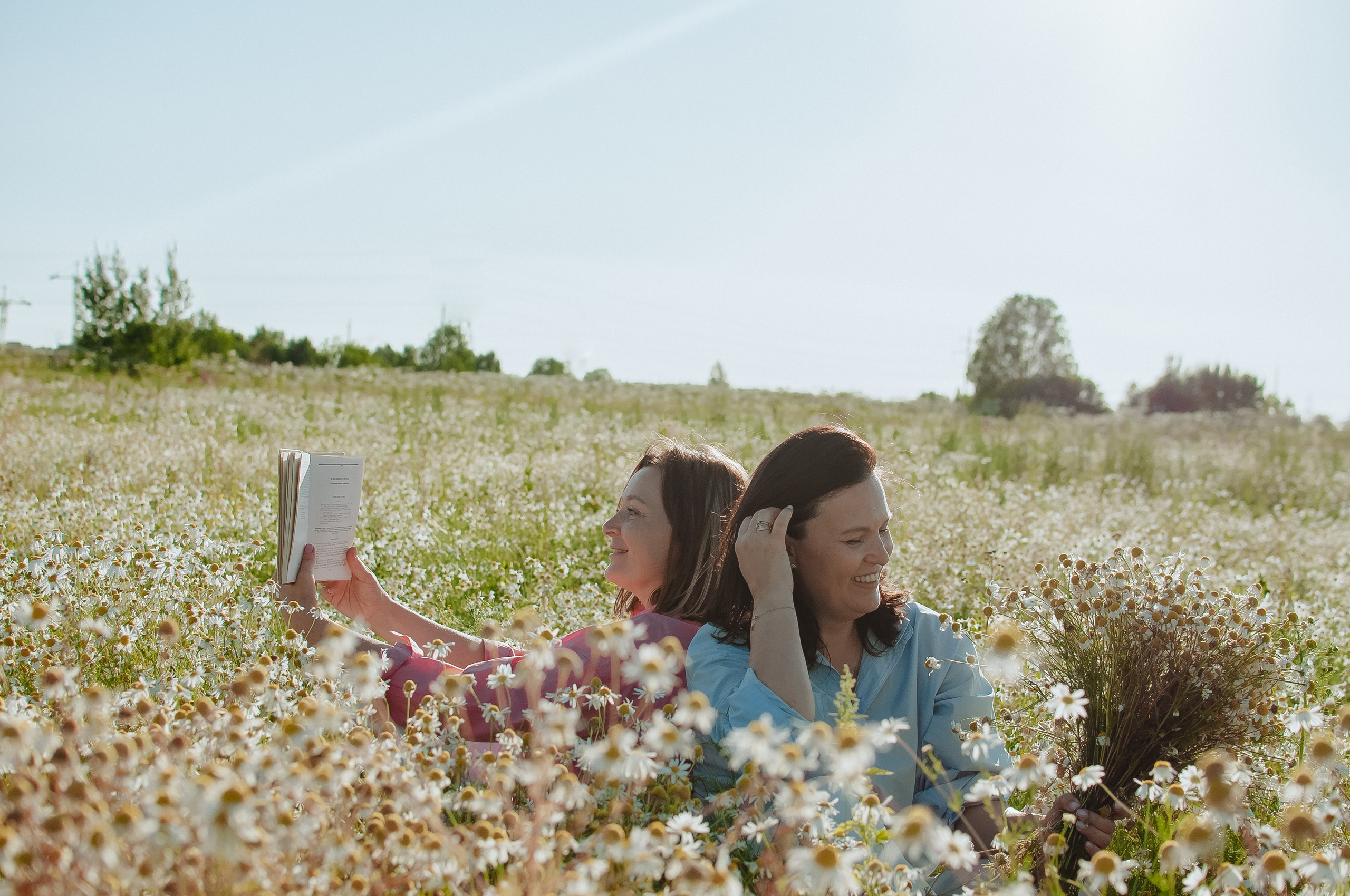 Привет ромашки