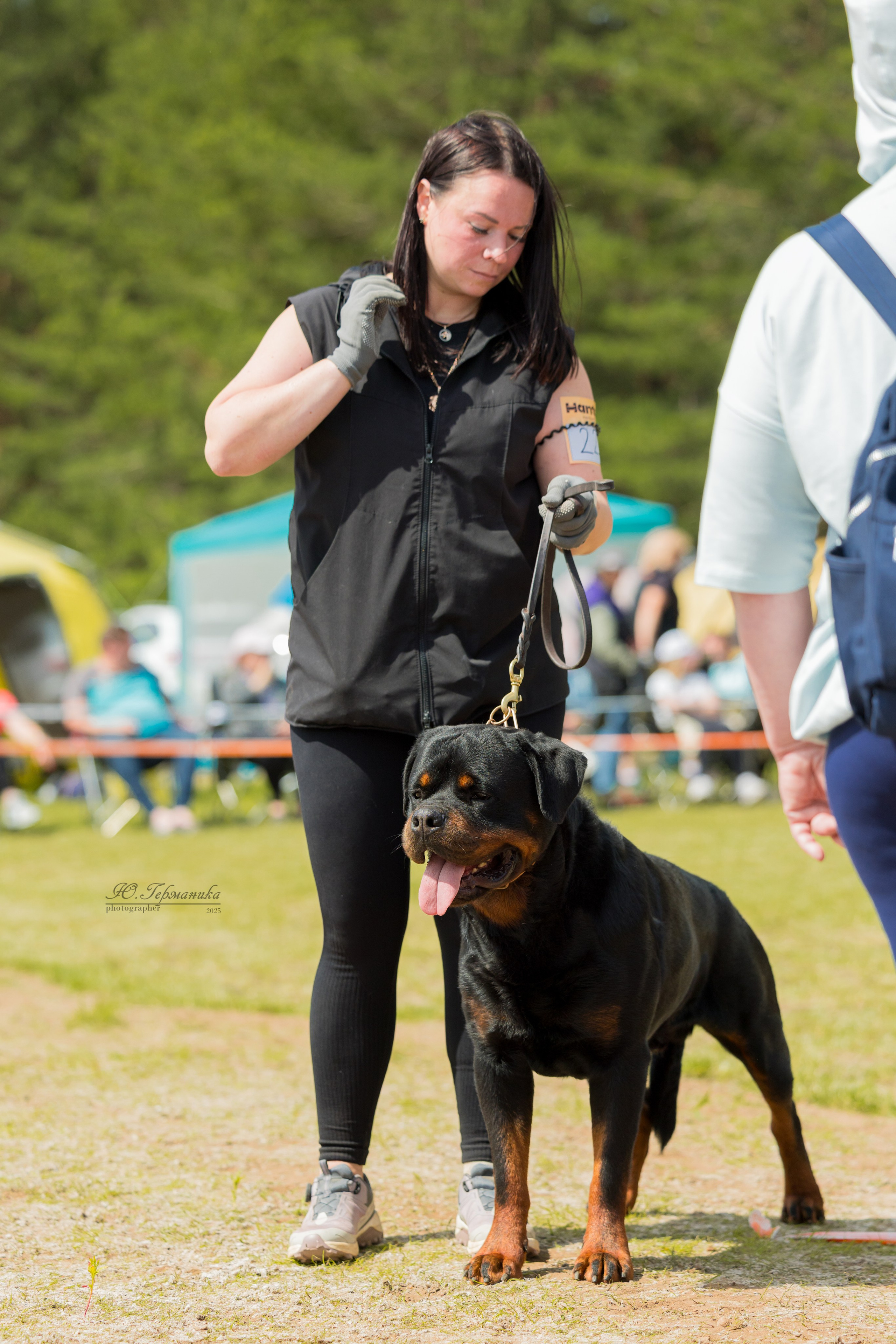 Тверь ротвейлеры 5-6.07.2025. Фотограф-анималист Юлия Германика
