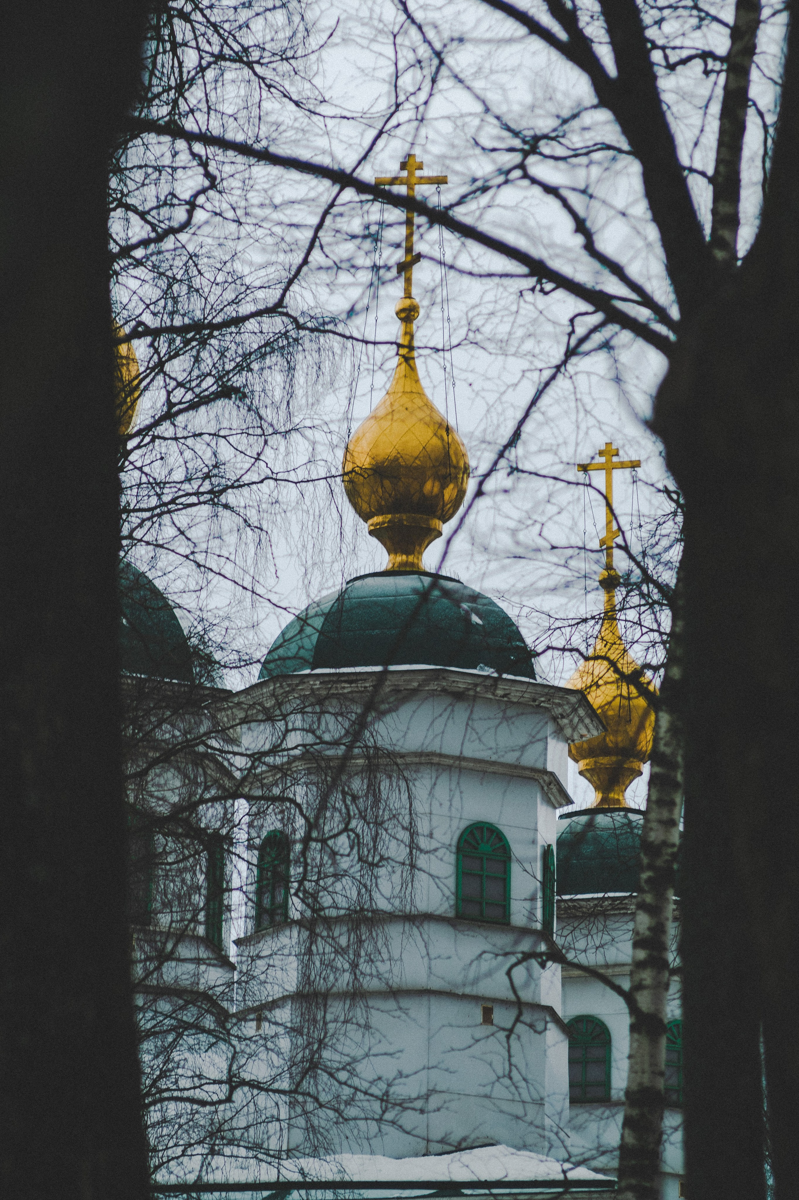 Colleague. Den Mirov — Photographer, Musician