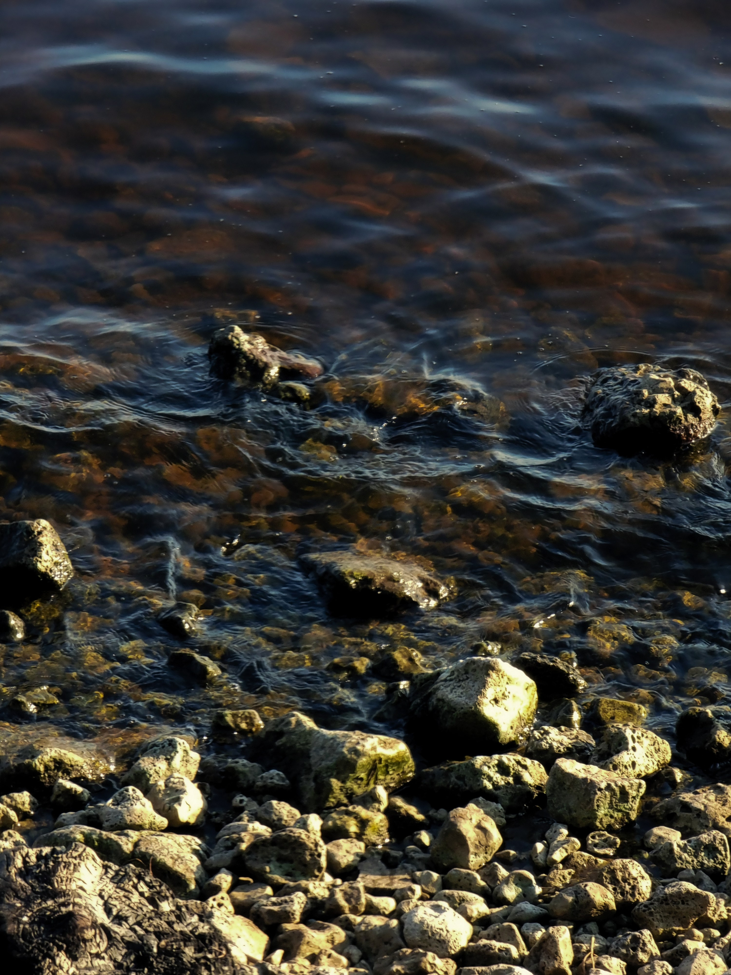 Июль 2025. Den Mirov — Фотограф, Музыкант