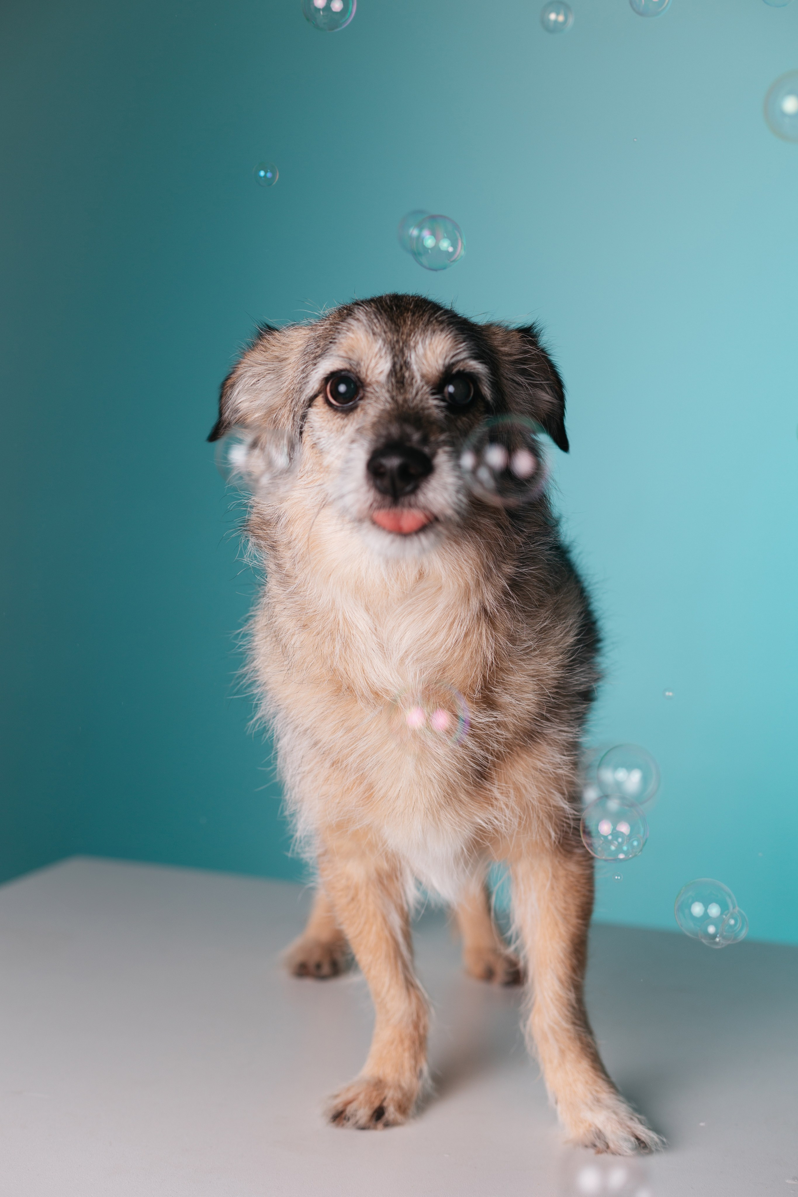 Неон 2 (фотодень). Фотограф анималист Кристина Карпова, Москва