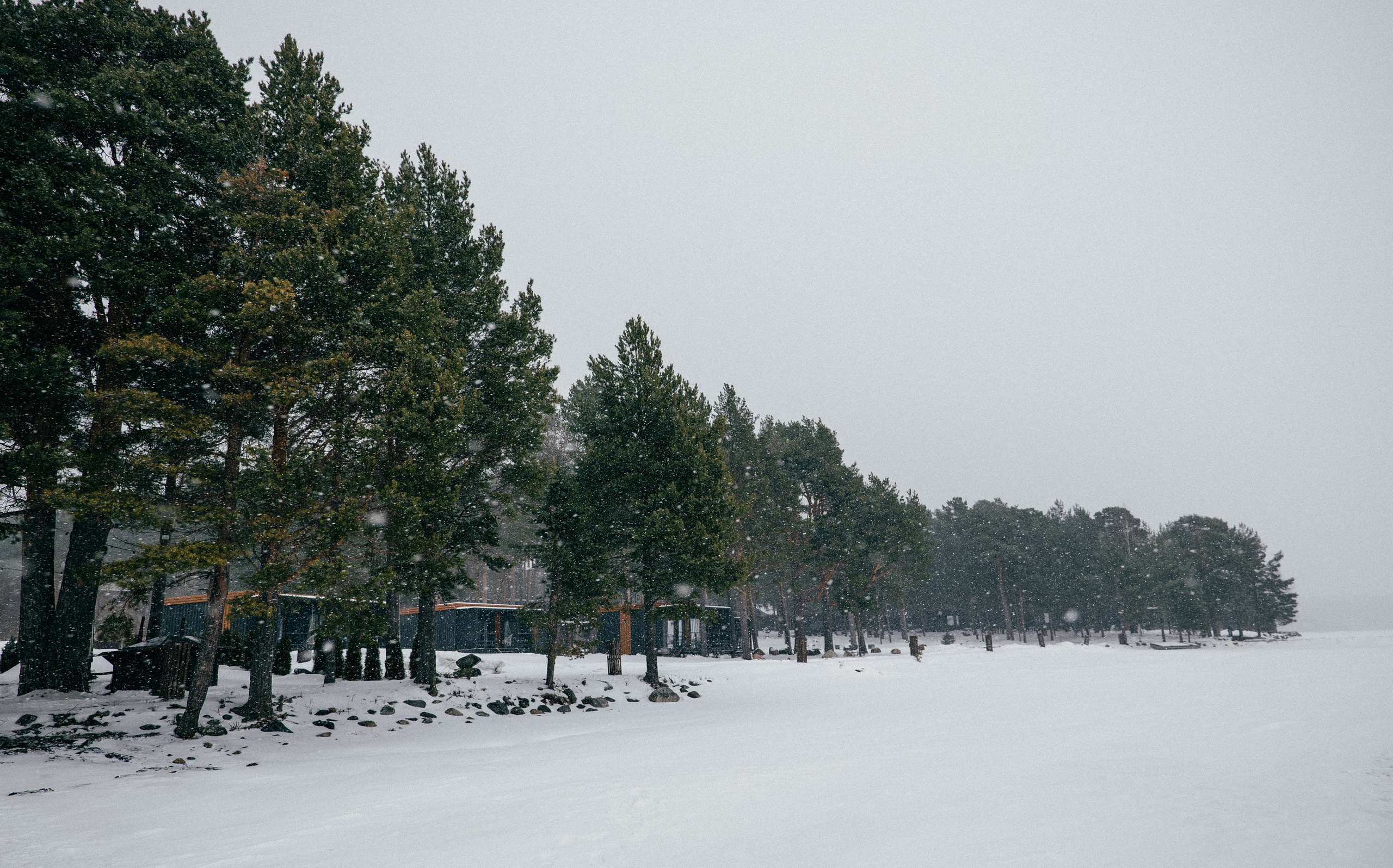 TALEO. Создание контента | Фото | Видеосъемка | Александр Ярков