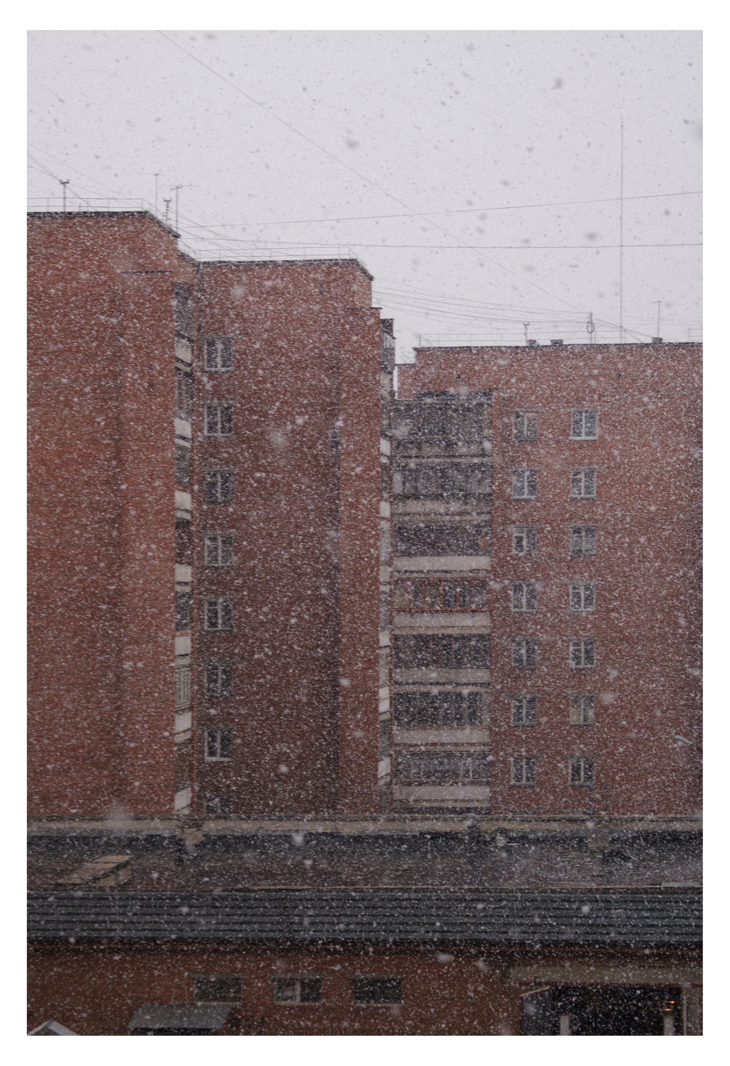 CHELYABINSK. Photographer Manakova Olga