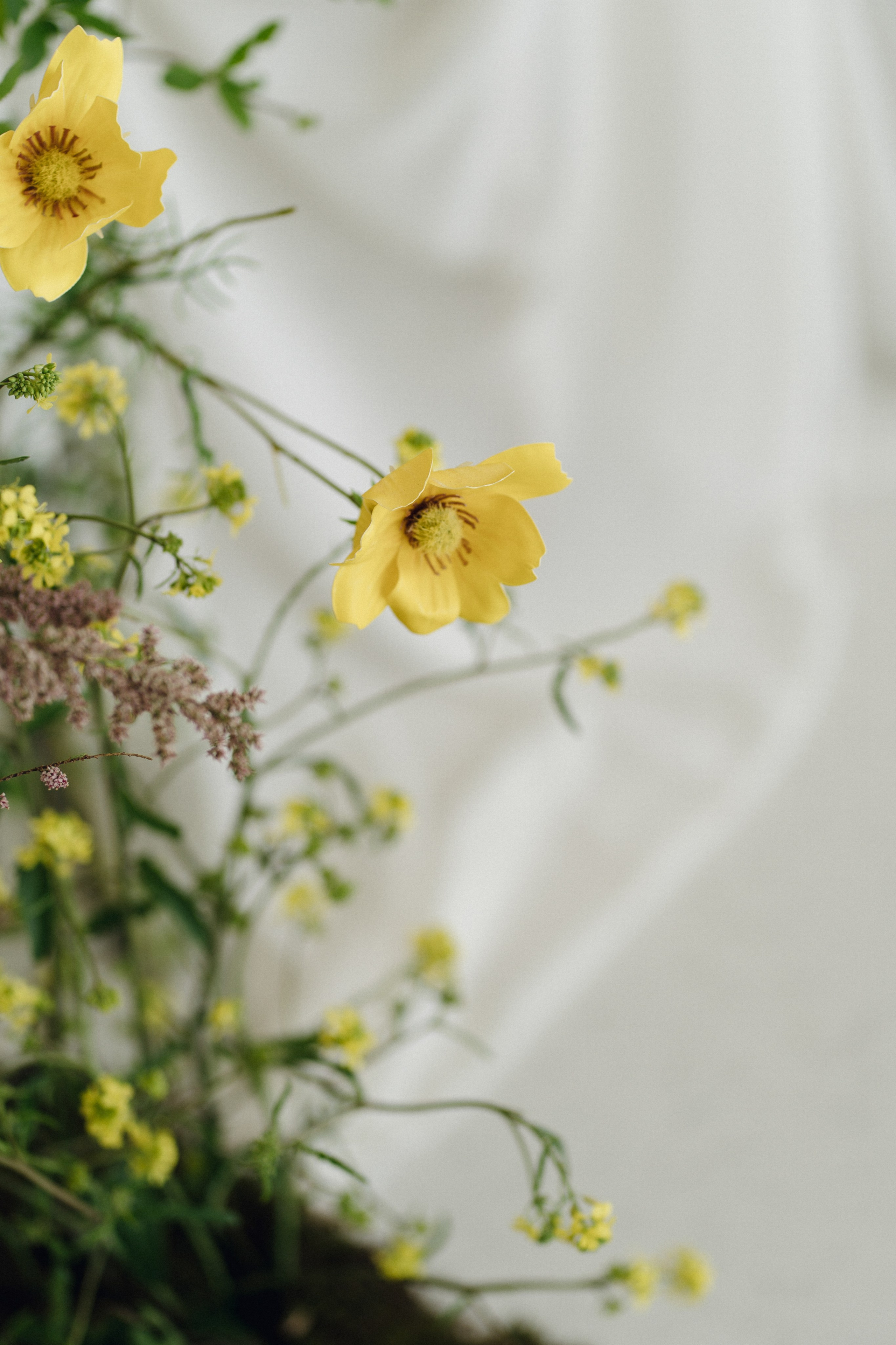 Скалистый берег 2024. Свадебный фотограф в Краснодаре и Сочи Винидиктова Екатерина