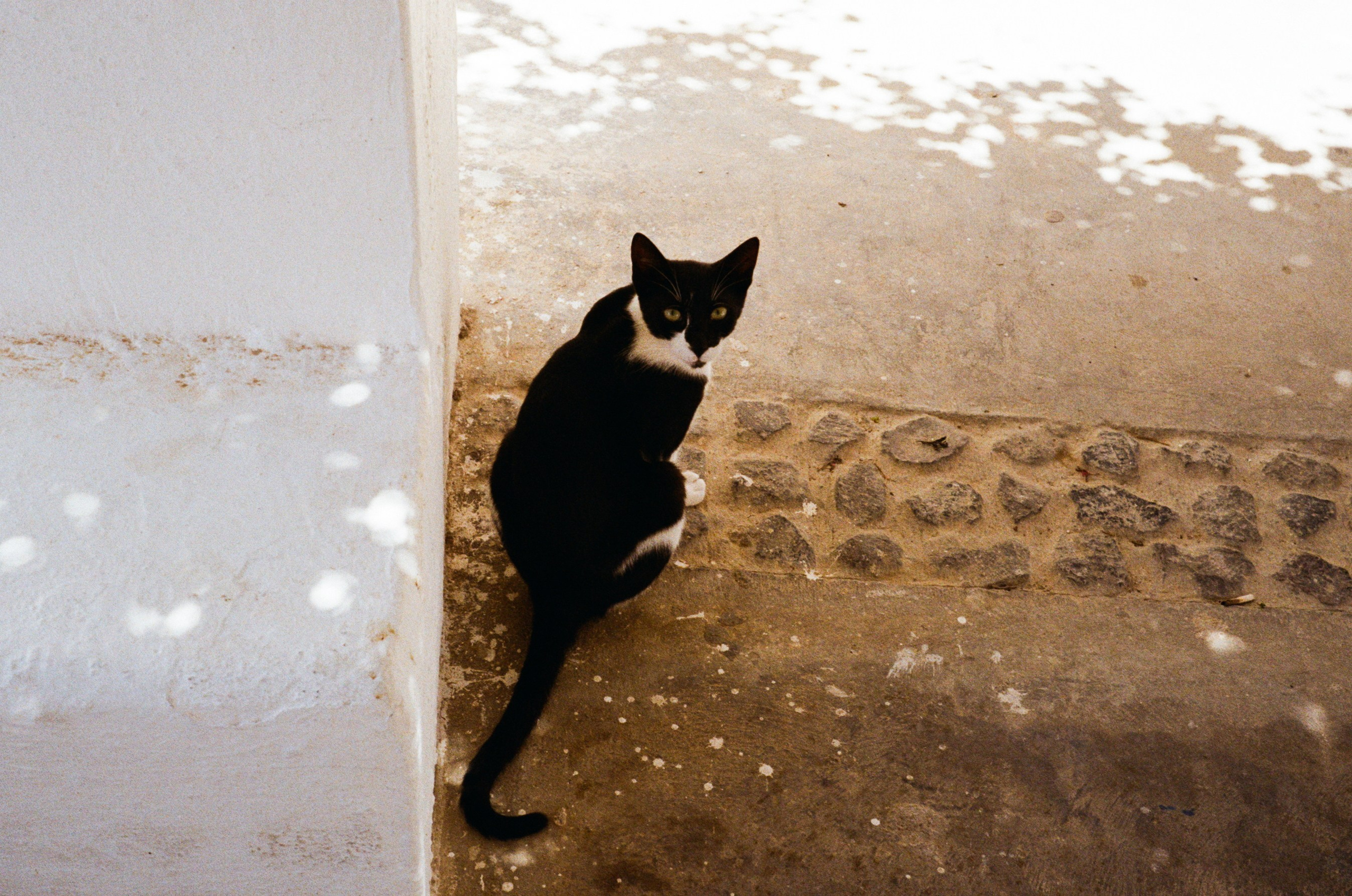 Santorini. Regina Platonova