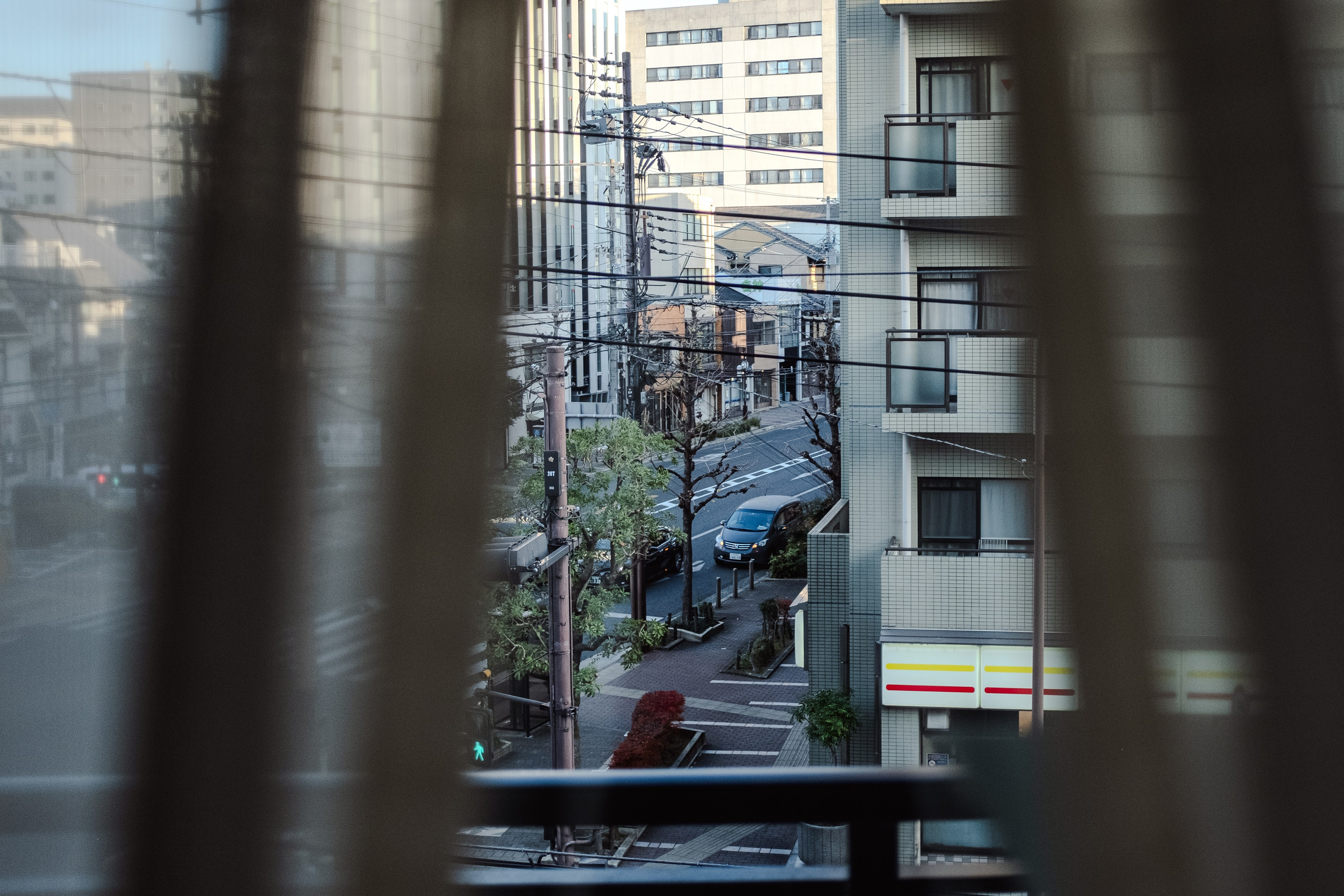 Architecture. Regina Platonova