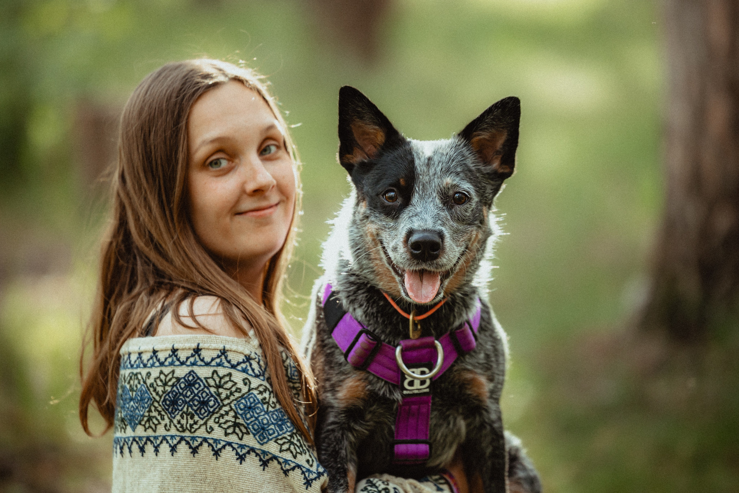 Выездной дог-тренинг от школы «Шерсть имею»