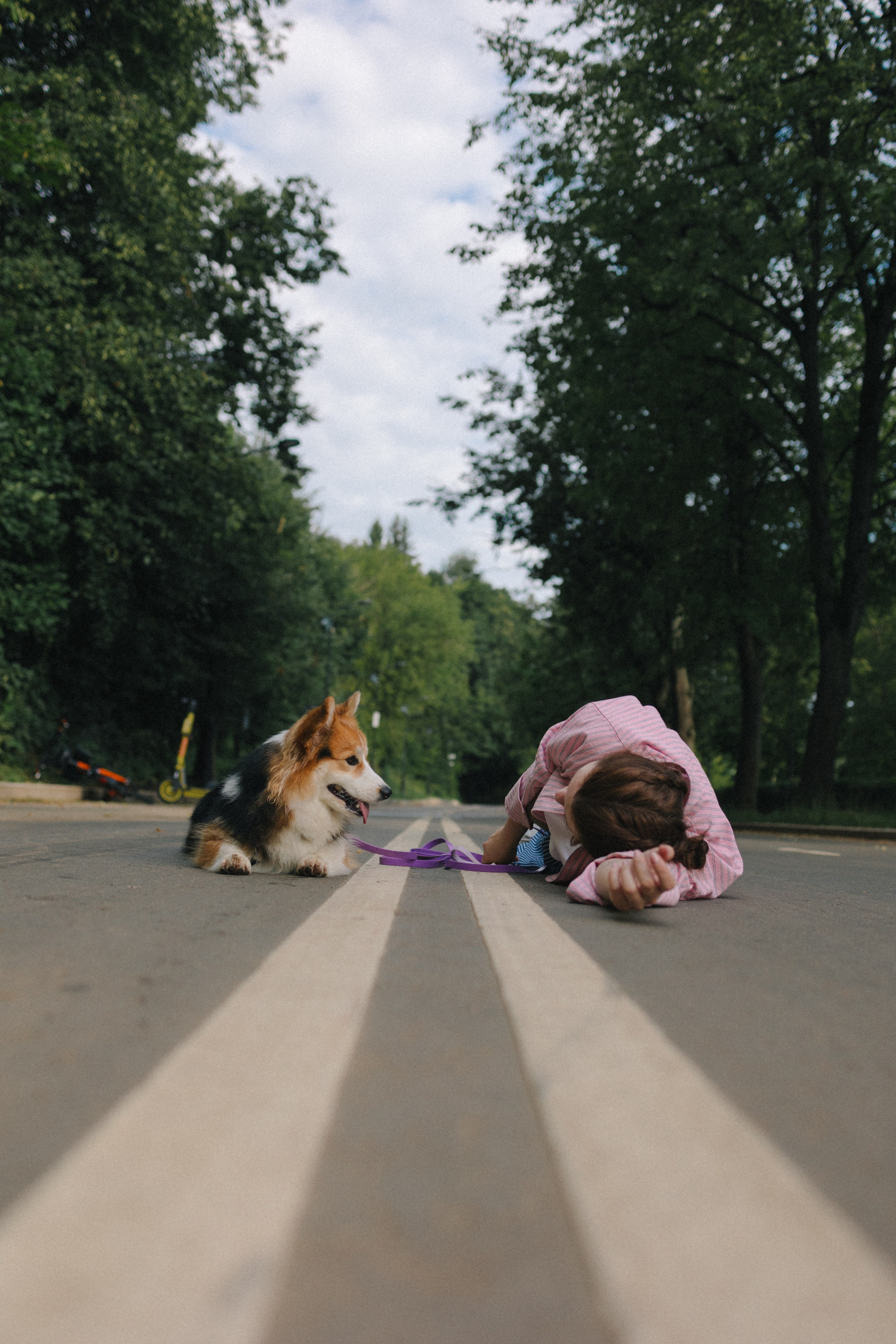 Мишель и Влада. Фотораф — анималист Мария Шистка