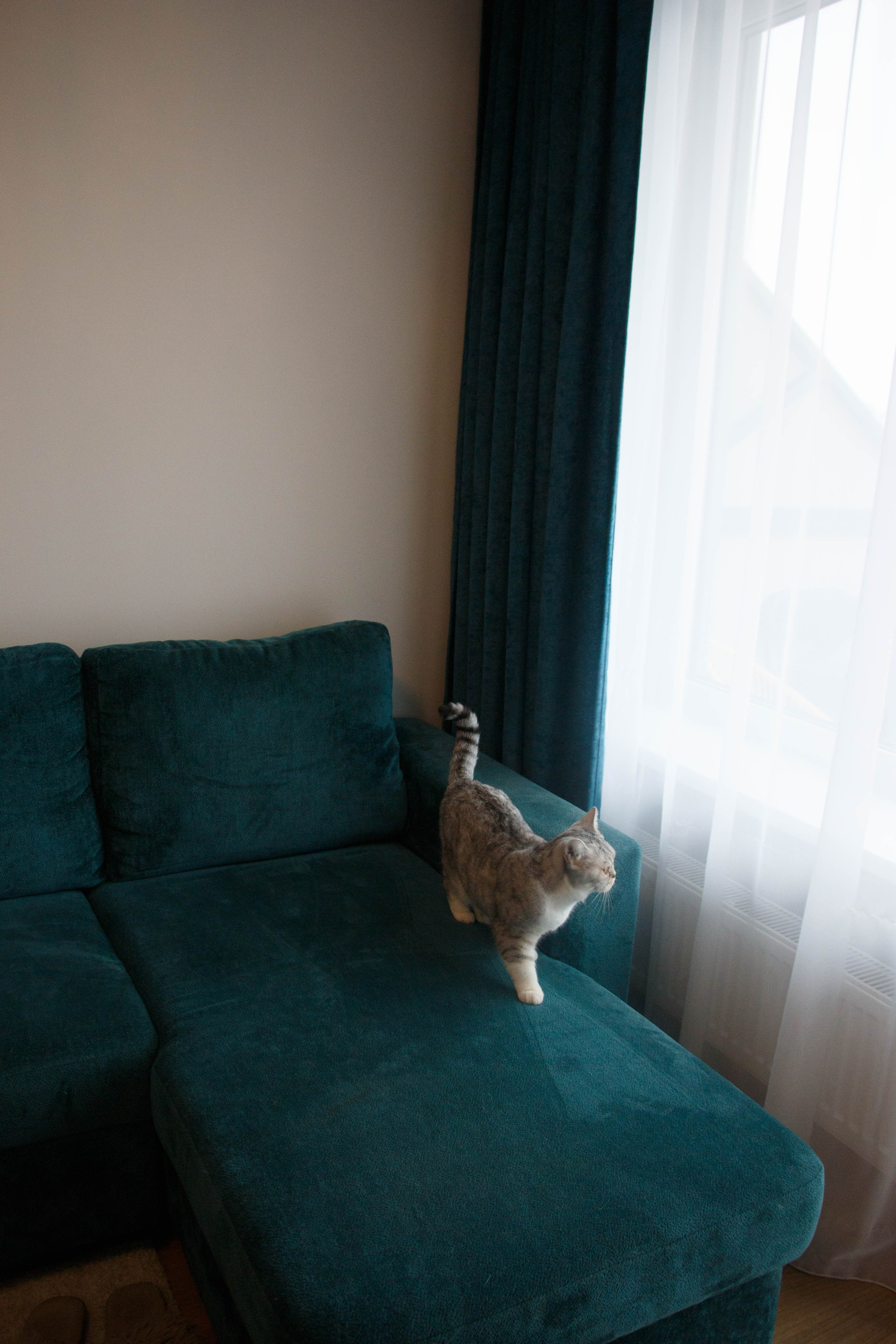 TANYA&NALLA. Бережно сохраняю ваши чувства и истории на своих фотографиях