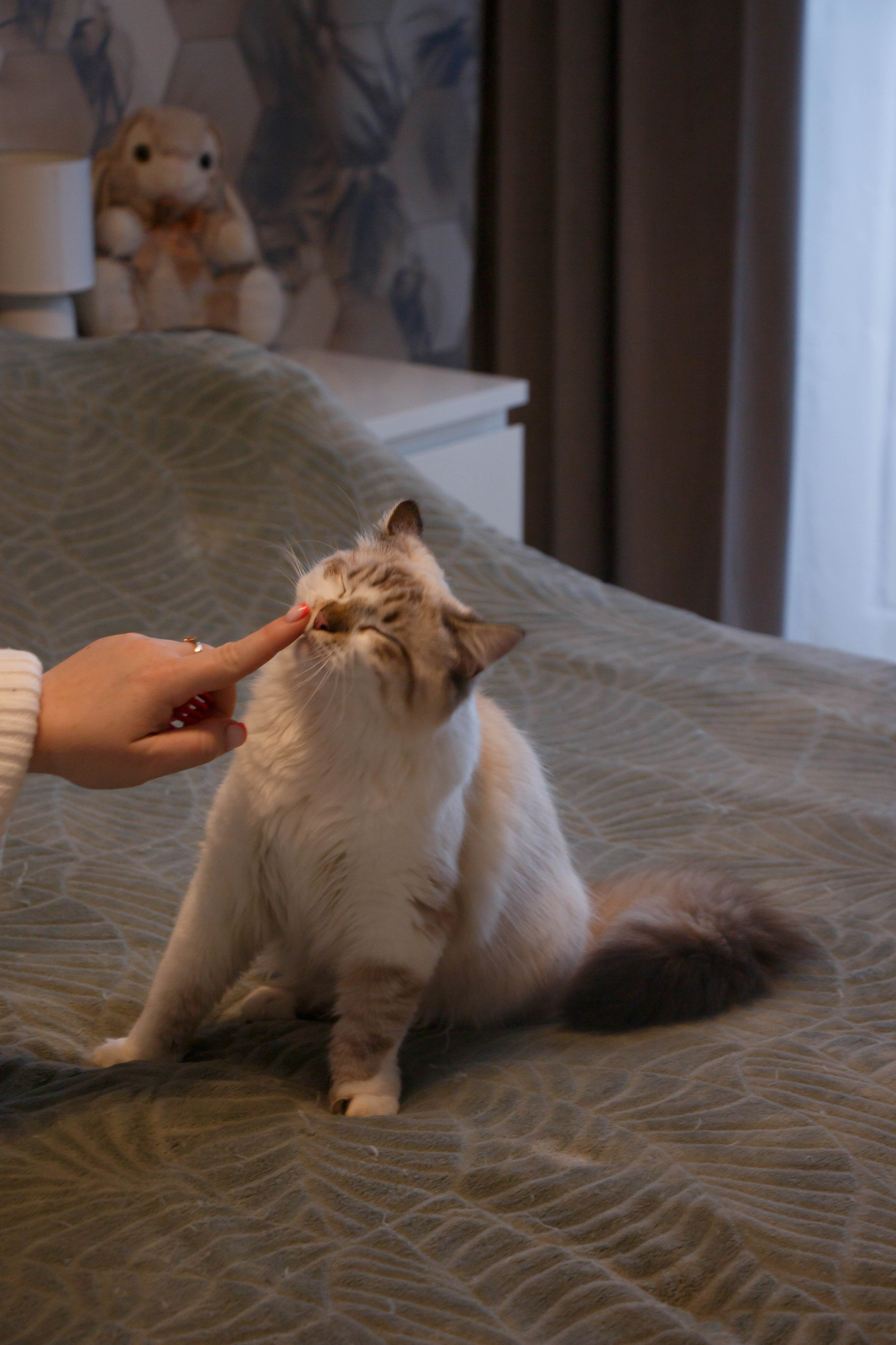 Kristina & Miya. Бережно сохраняю ваши чувства и истории на своих фотографиях