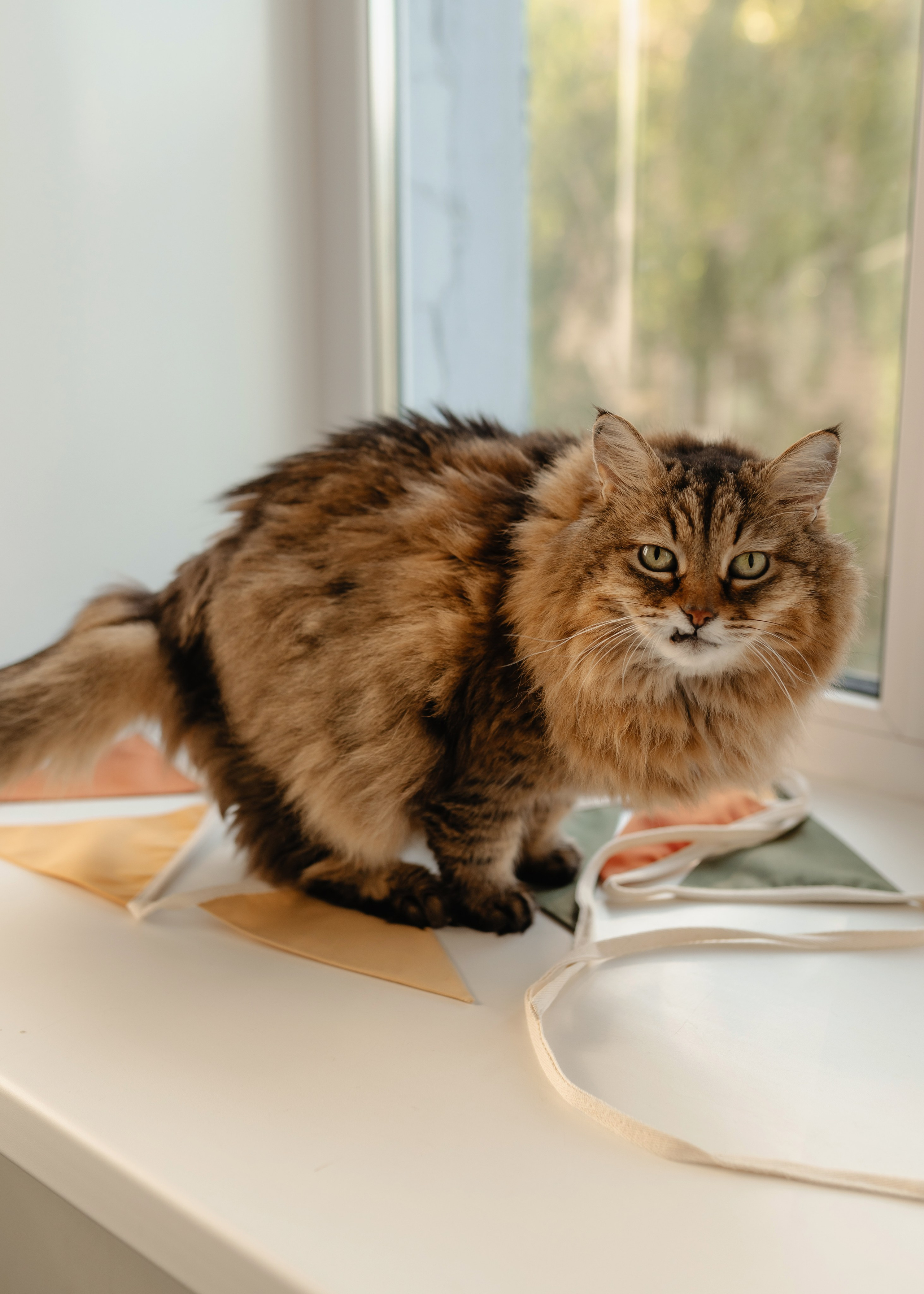 Екатерина, Дмитрий и Лев. Семейный и портретный фотограф Нижний Новгород