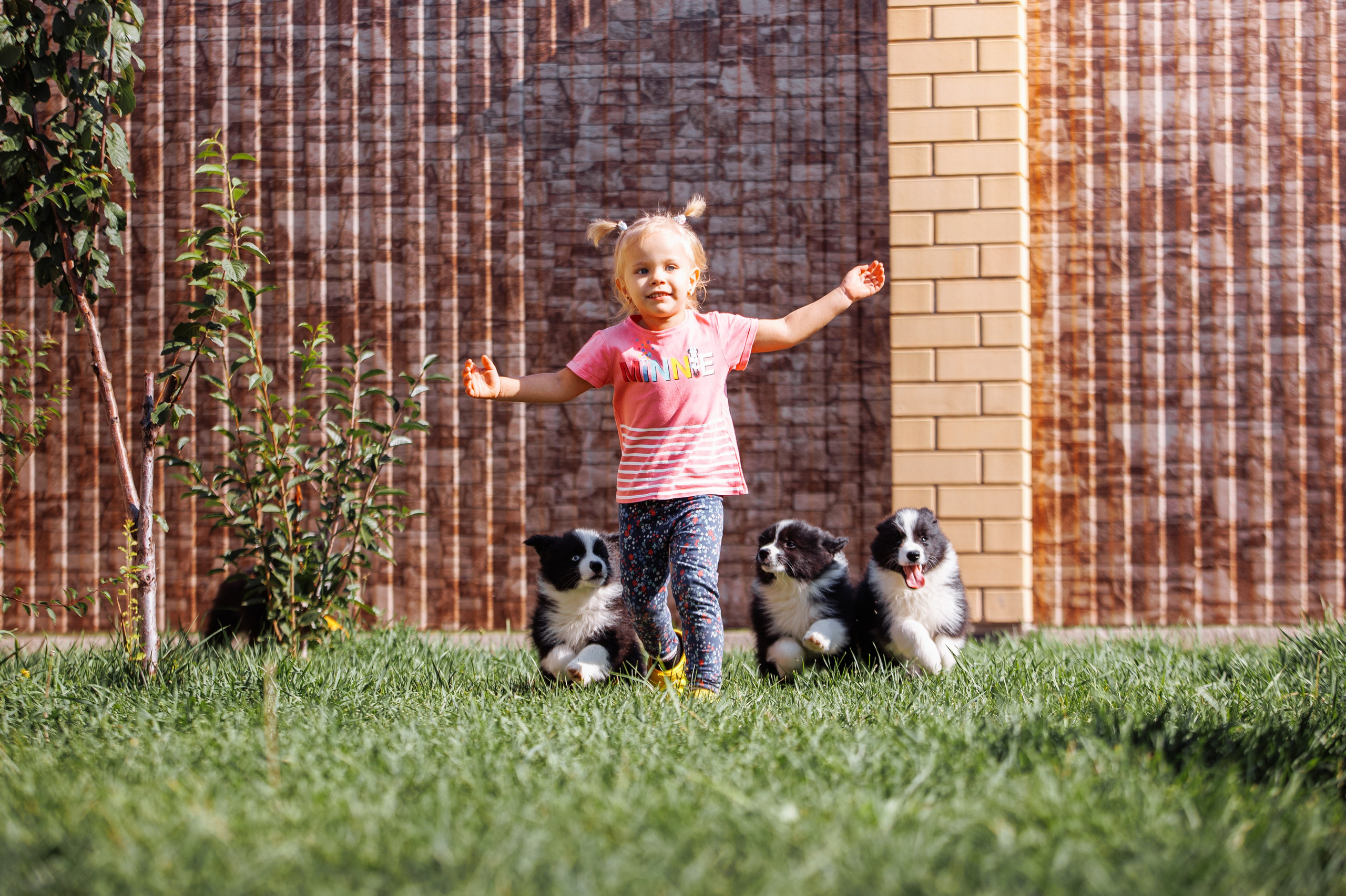 МММ — маленькое мягкое милое. О нас