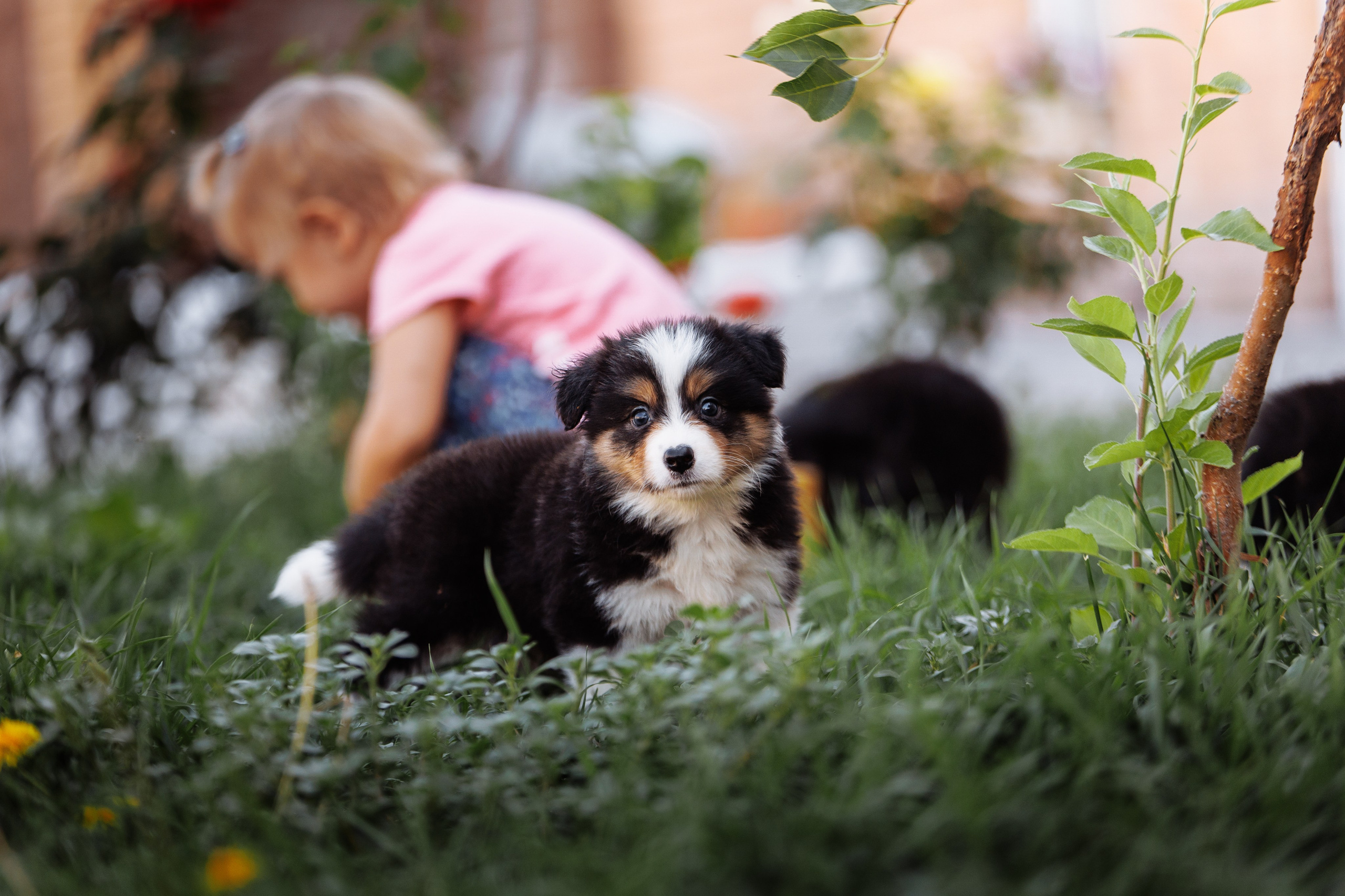 МММ — маленькое мягкое милое. О нас