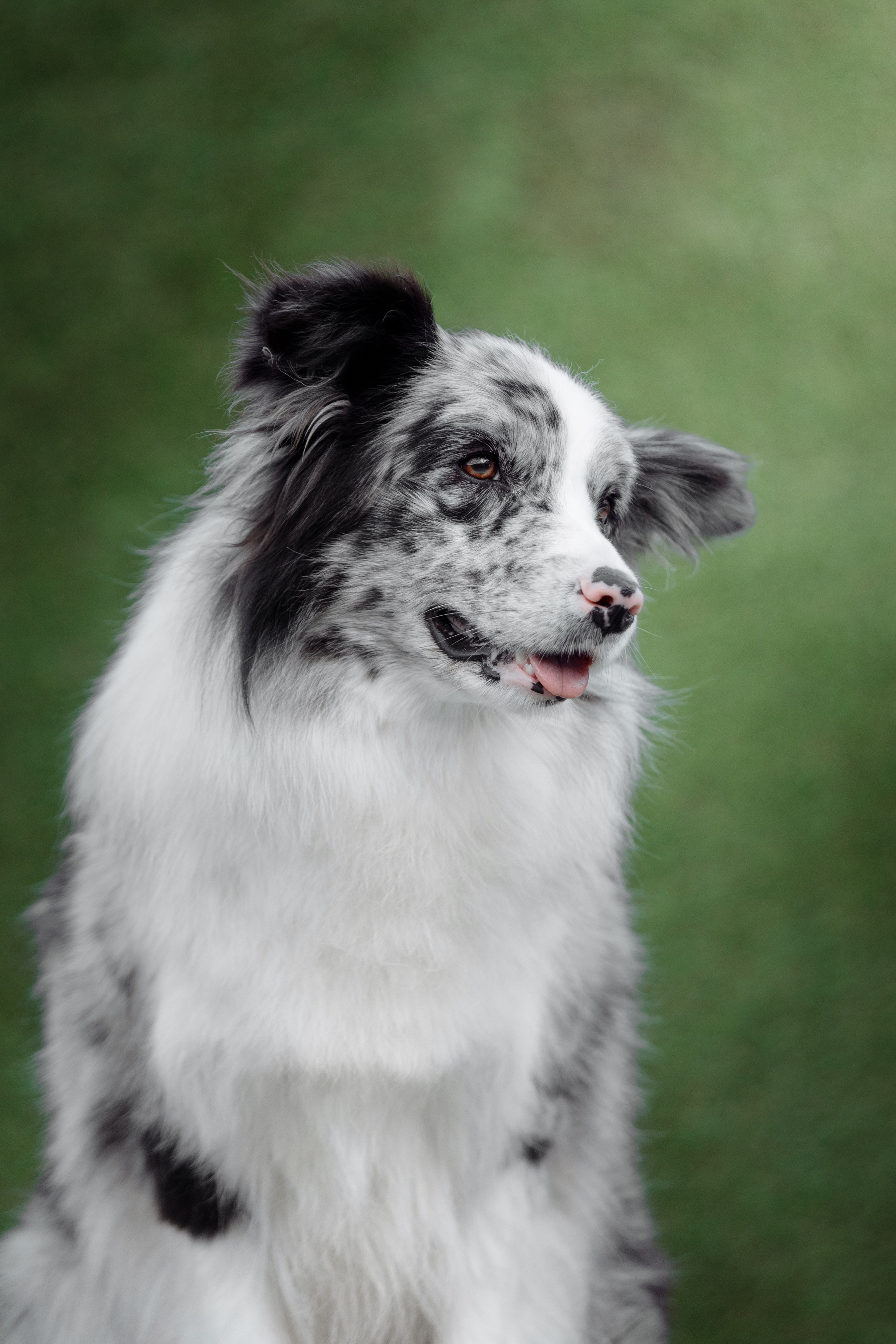 Свое место. О нас