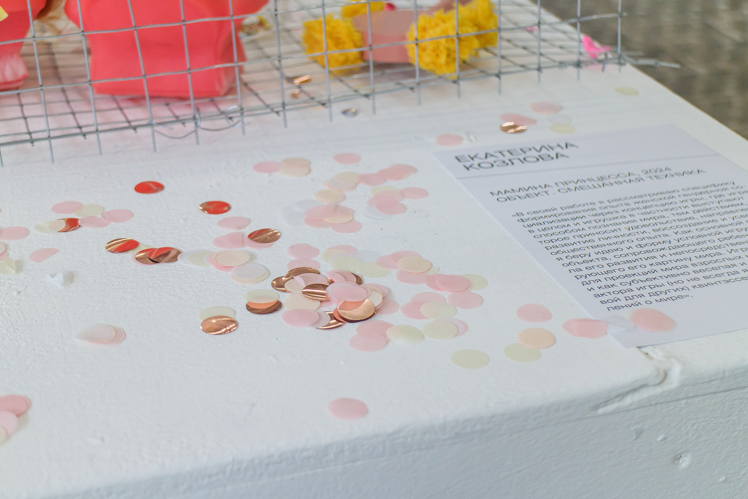 Мамина принцесса. Козлова Екатерина. Междисциплинарная визуальная художница