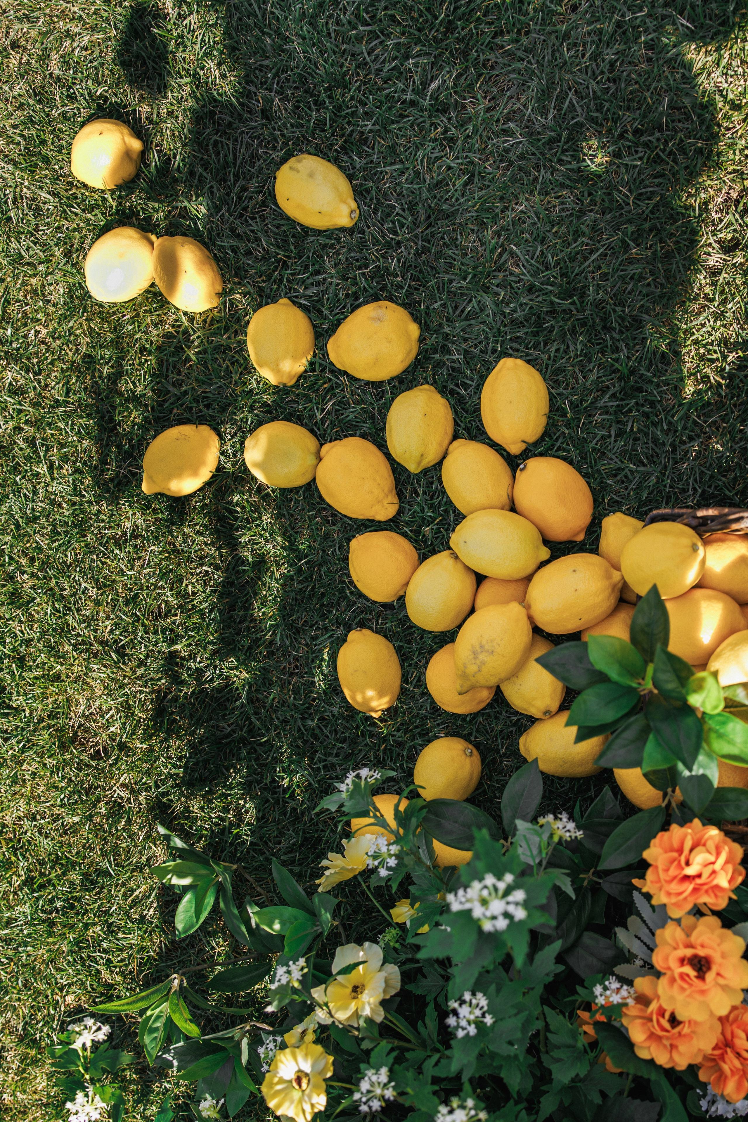 Серия Екатерина и Денис. Свадебный фотограф Краснодар Ростов Солоникова Вероника