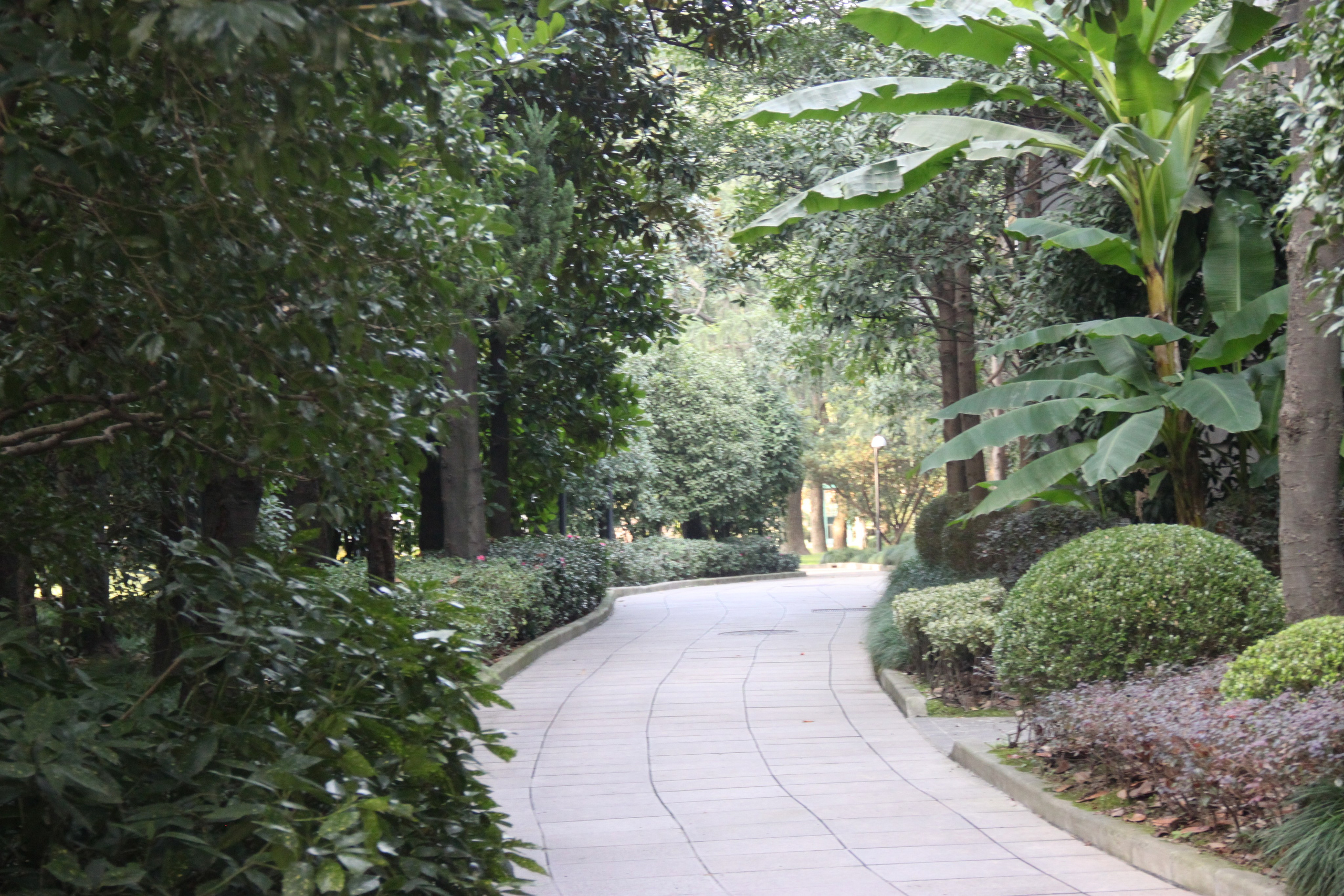 Shanghai, China. Andrey Filippov Photographer