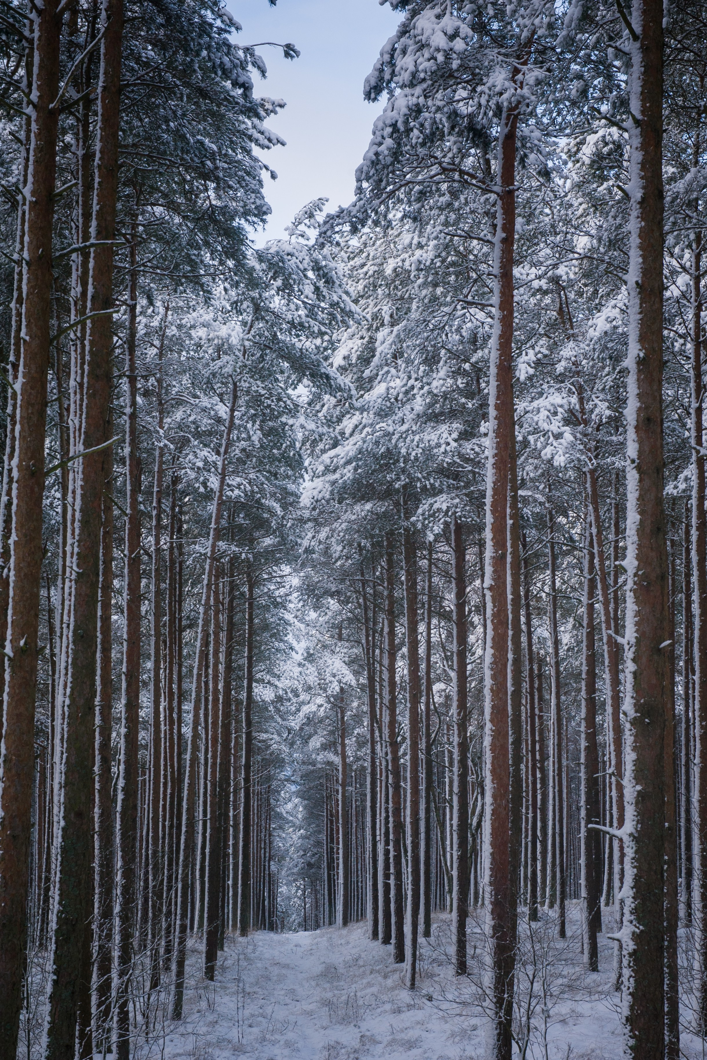 ФОТОПРОГУЛКИ. Фотограф Вера Демидкова