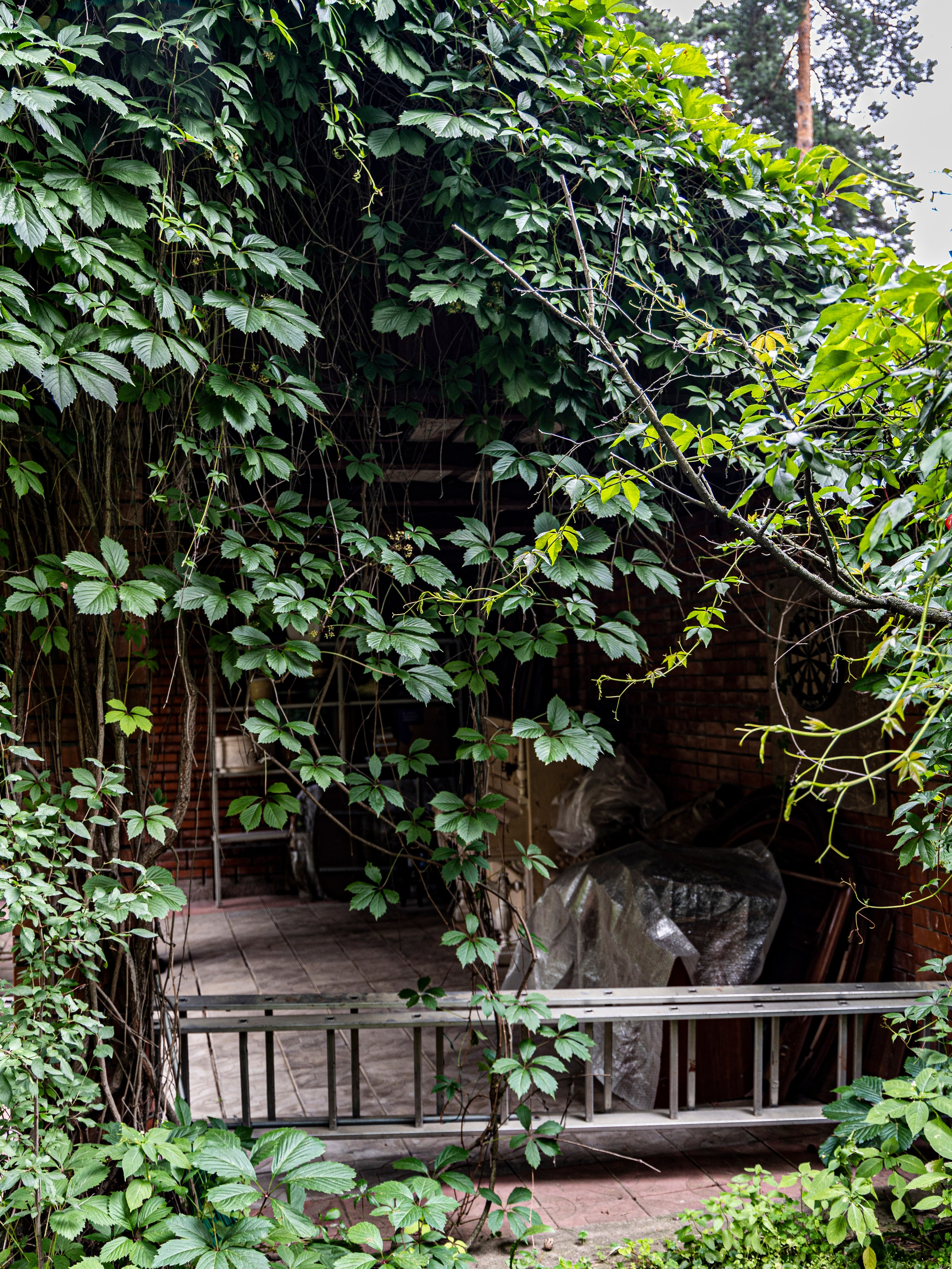 Фотограф Татьяна Марсуверских г. Жуковский, Москва и Мо. Репортажные съёмки, фотосессии. Детский, семейный фотограф. Фотограф для маркетплейсов, фотоуслуги в Жуковском Татьяна Марсуверских