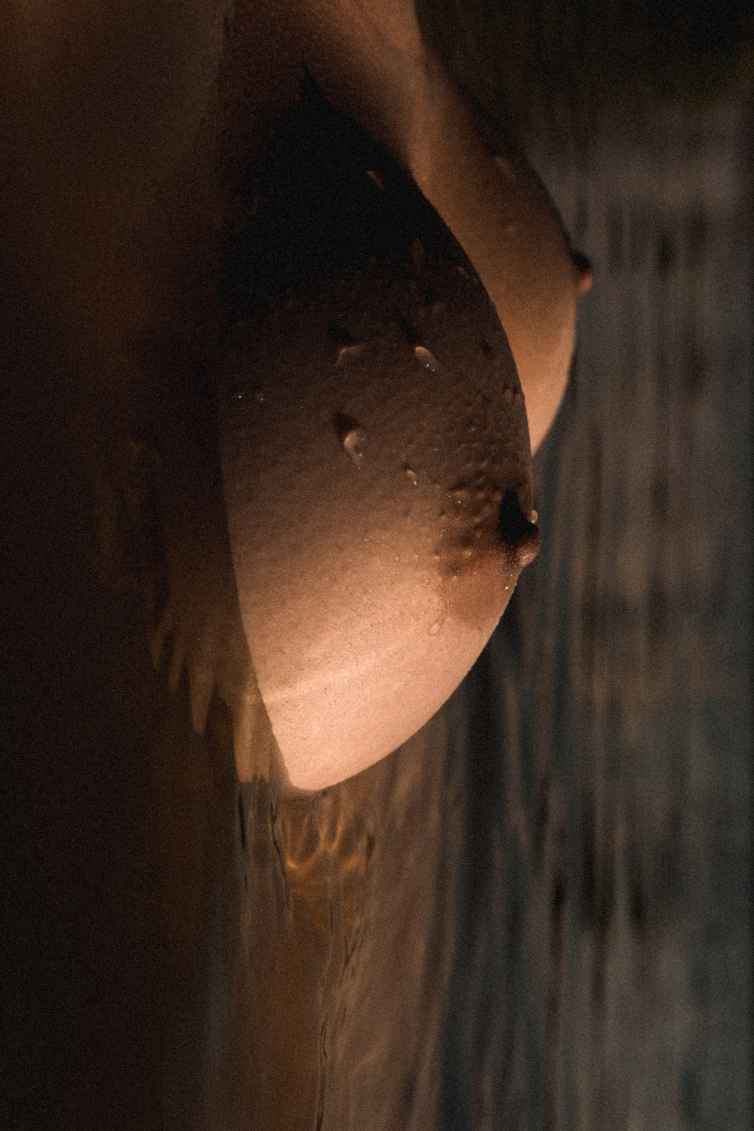 Съемки. Индивидуальный фотограф в Москве