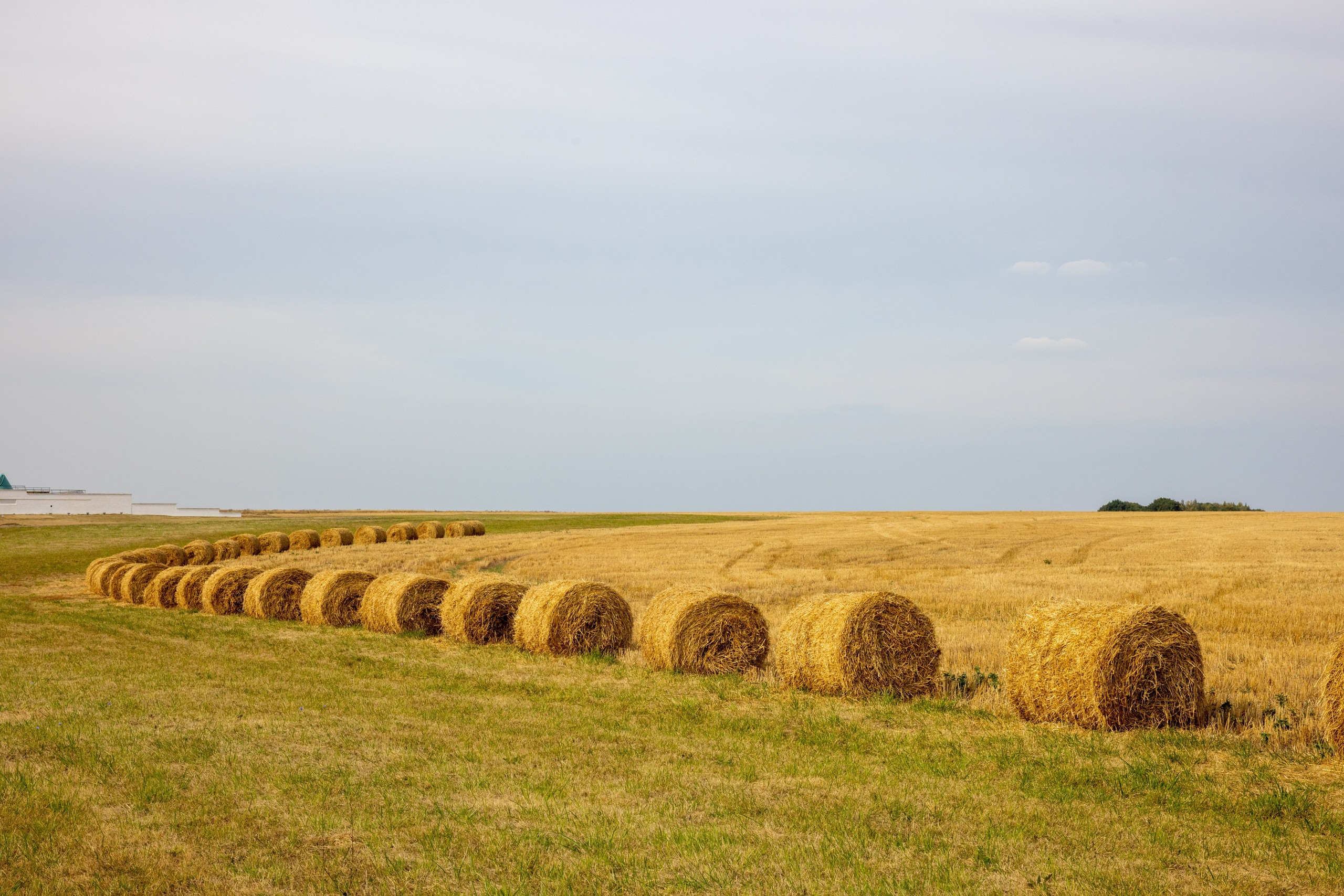Куликово Поле. Фотограф в Туле Крупский АнДРей. Фотостудия «КАДР71» в Туле