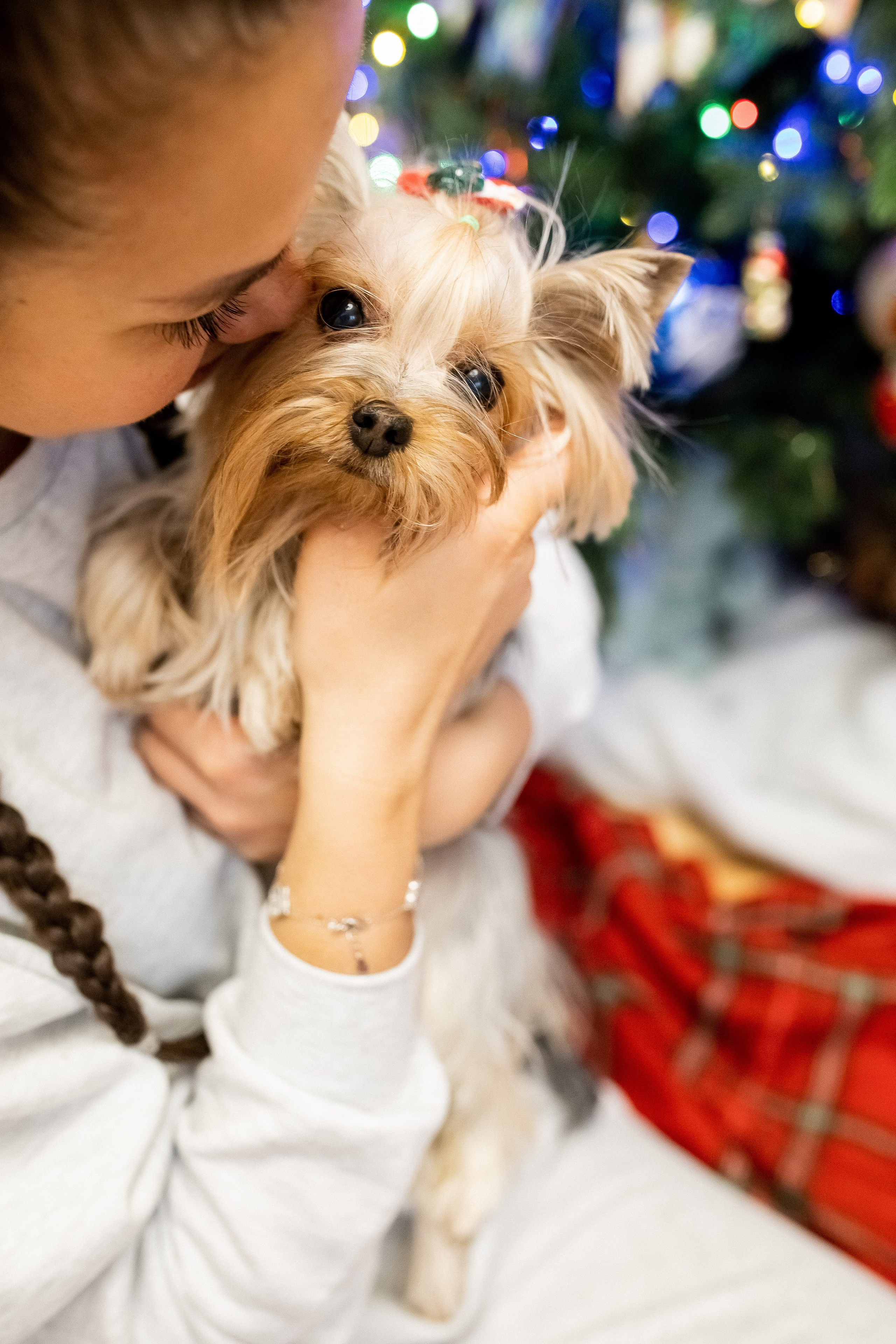 Тома и Даня с питомцами!. Профессиональный фотограф, Москва |Видное Елена Елизарова