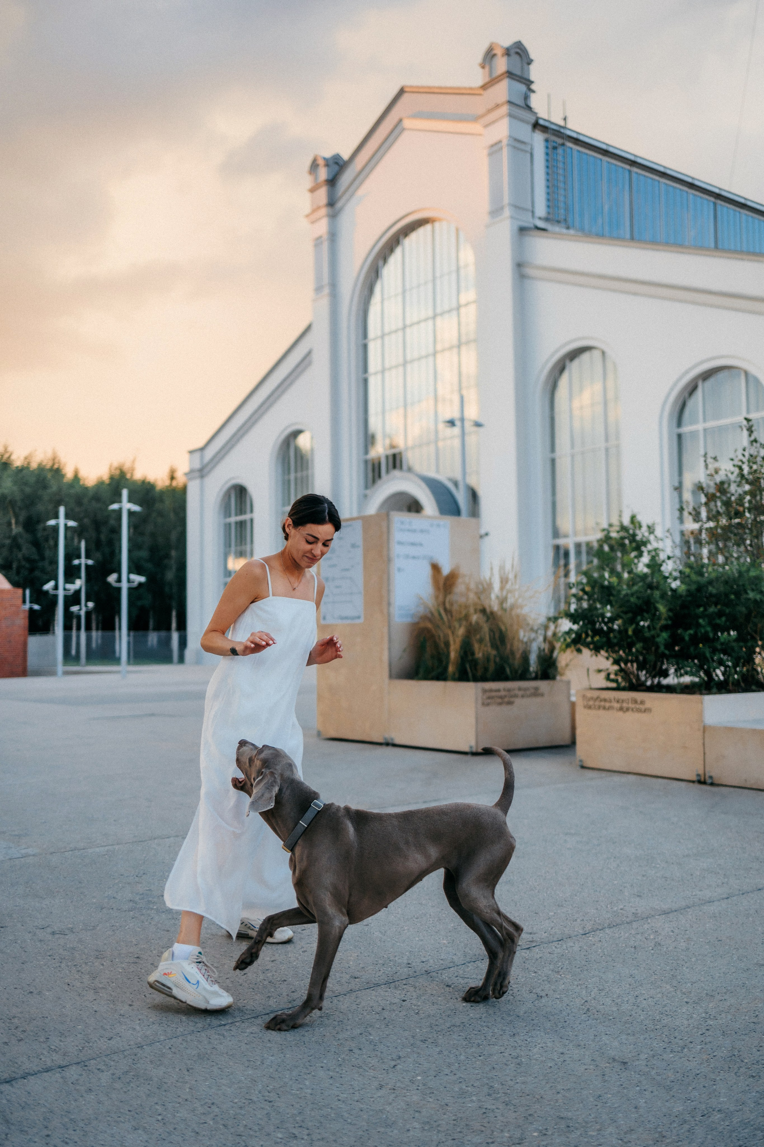 Соня и Майли. Фотограф-анималист Елена Радченко, Москва