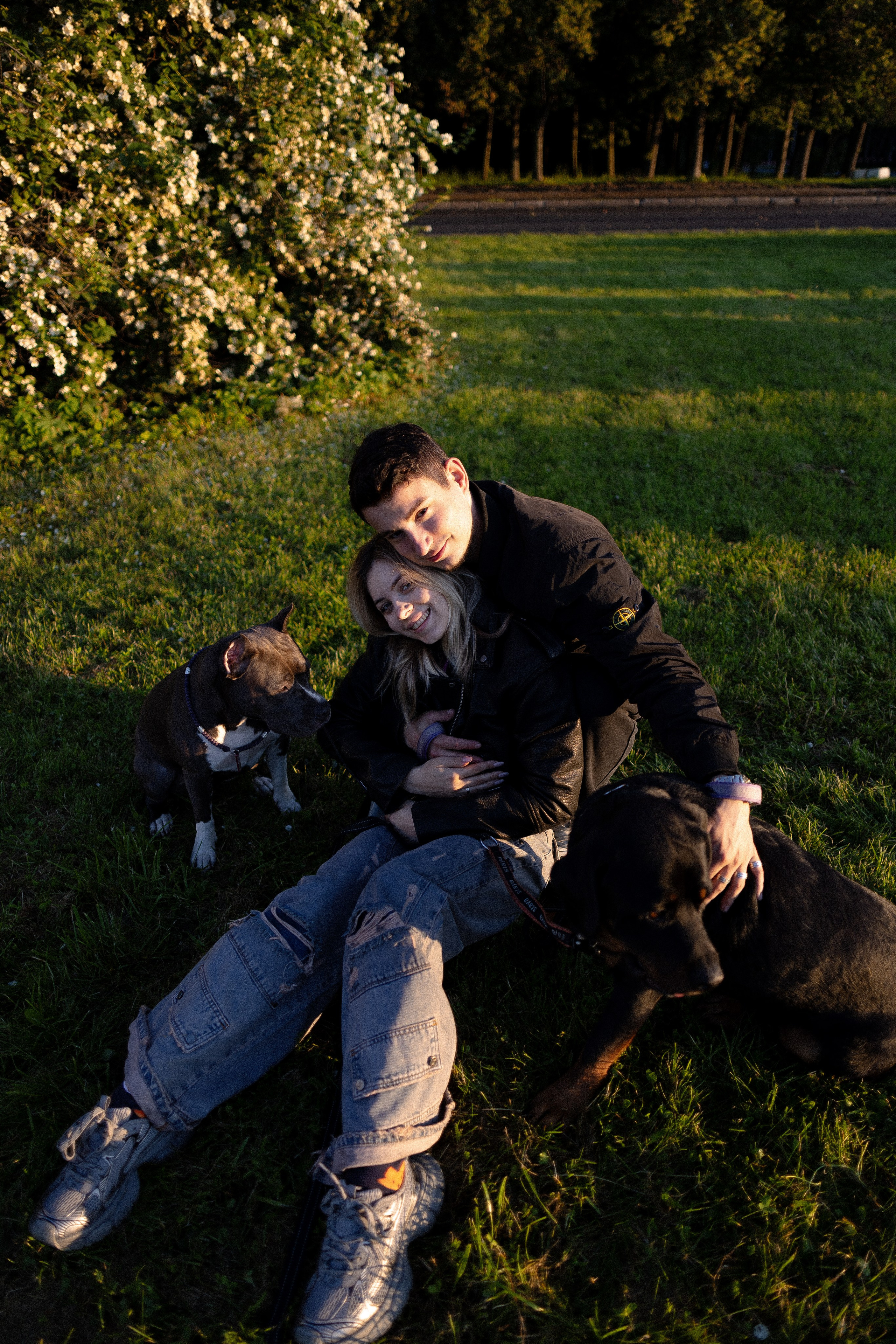 Катя, Леша, Лея и Трой. Фотограф и видеограф анималист Аганина Дарья