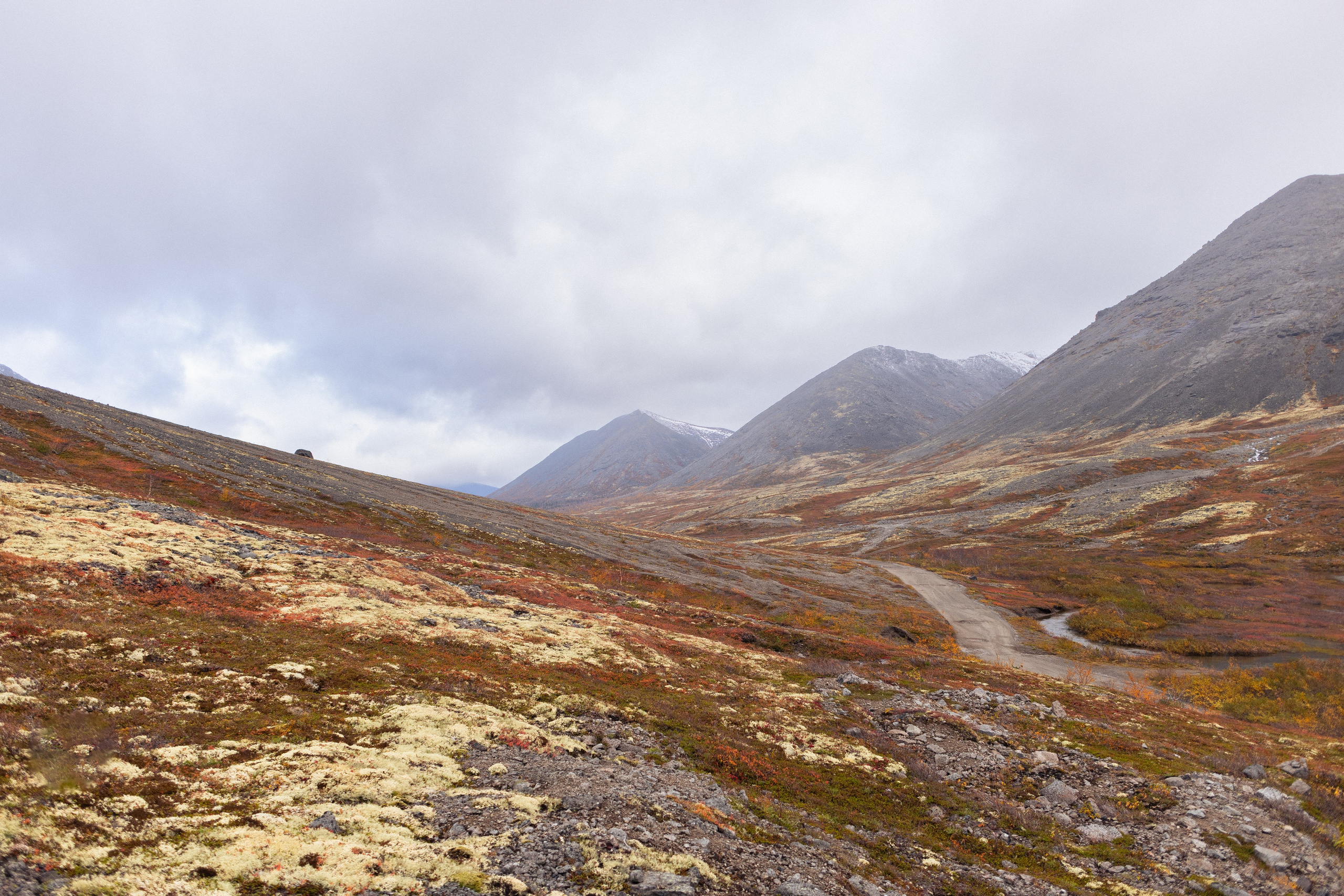 Кольский. Фотограф и видеограф анималист Аганина Дарья