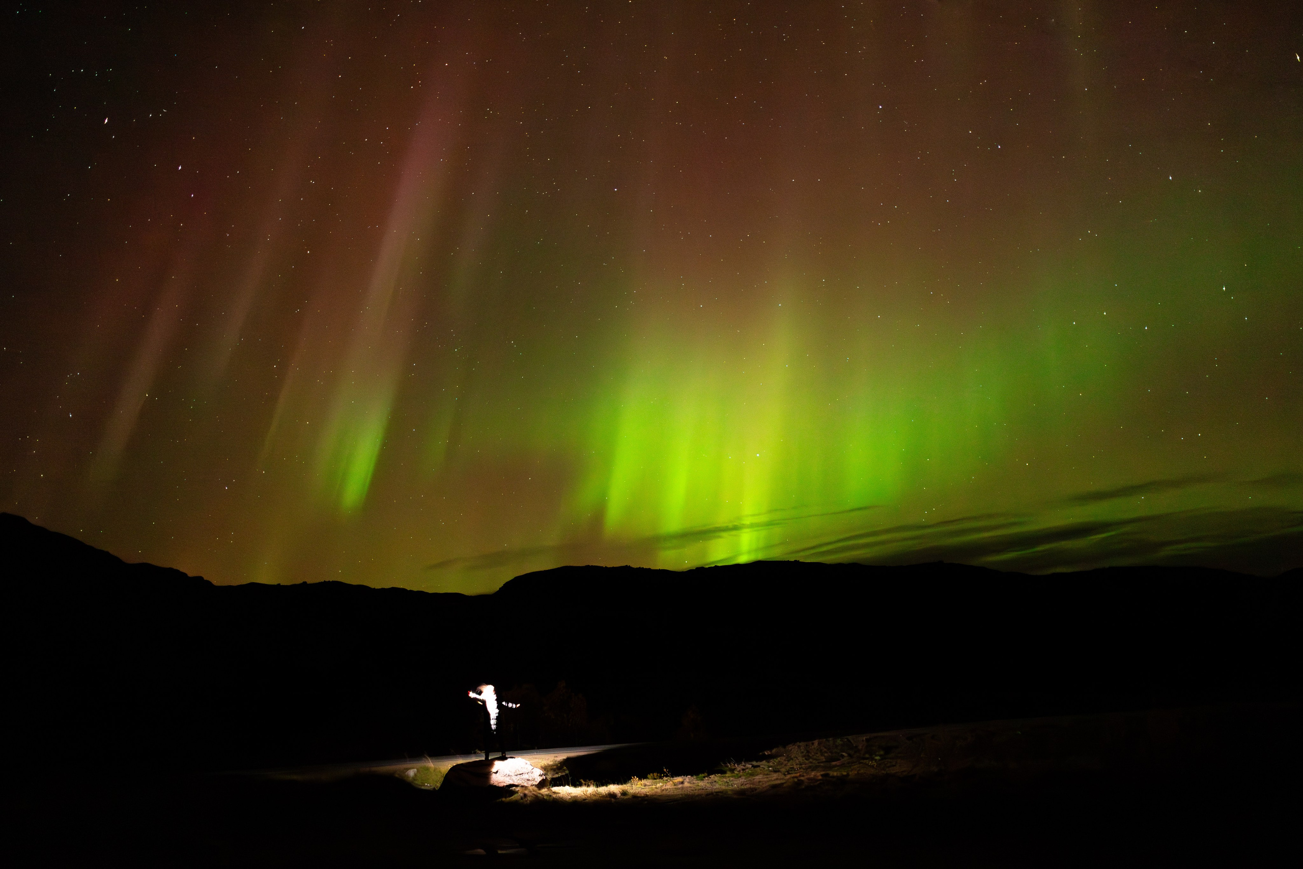 Кольский. Фотограф и видеограф анималист Аганина Дарья