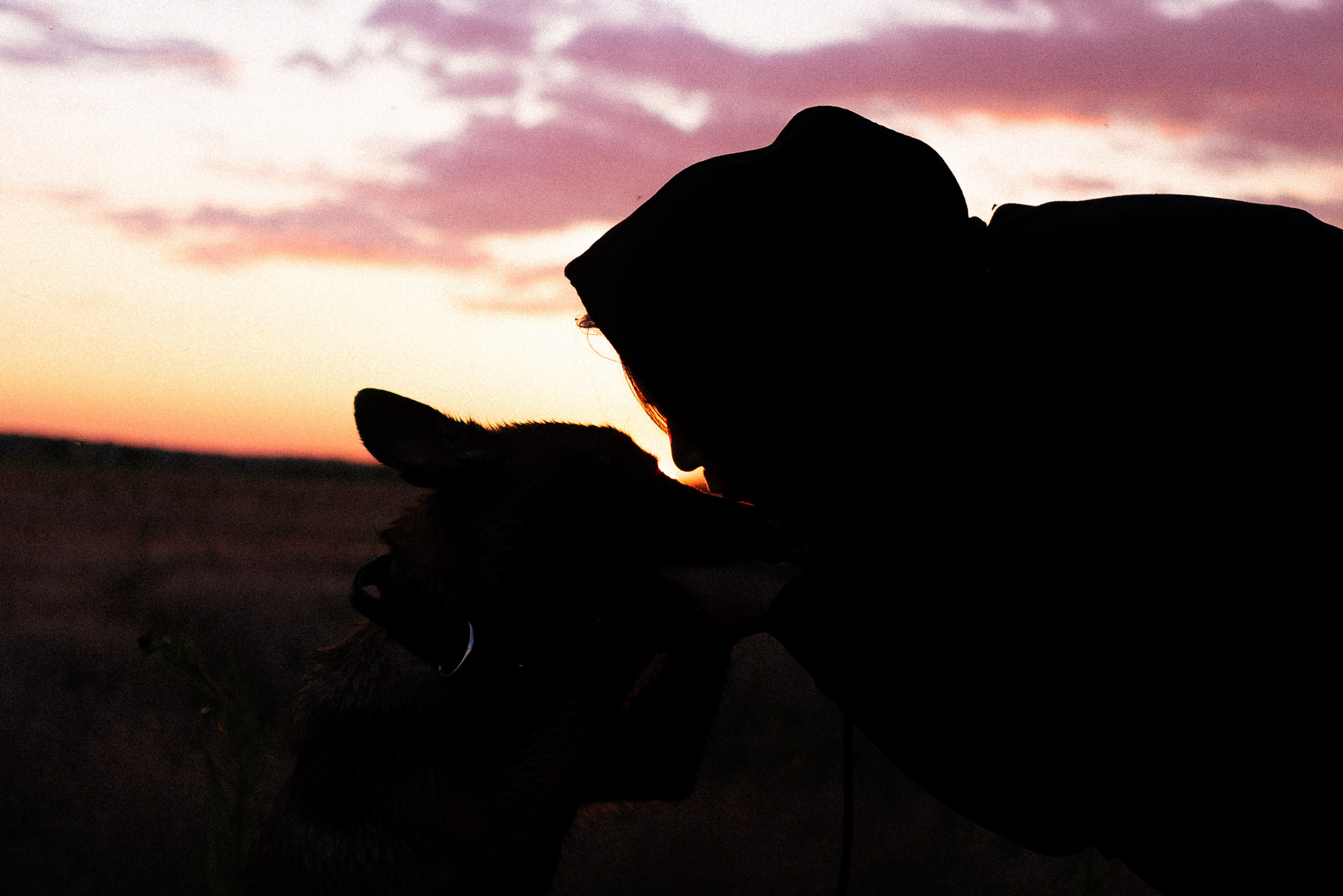 Галина и Лоя. Фотограф и видеограф анималист Аганина Дарья