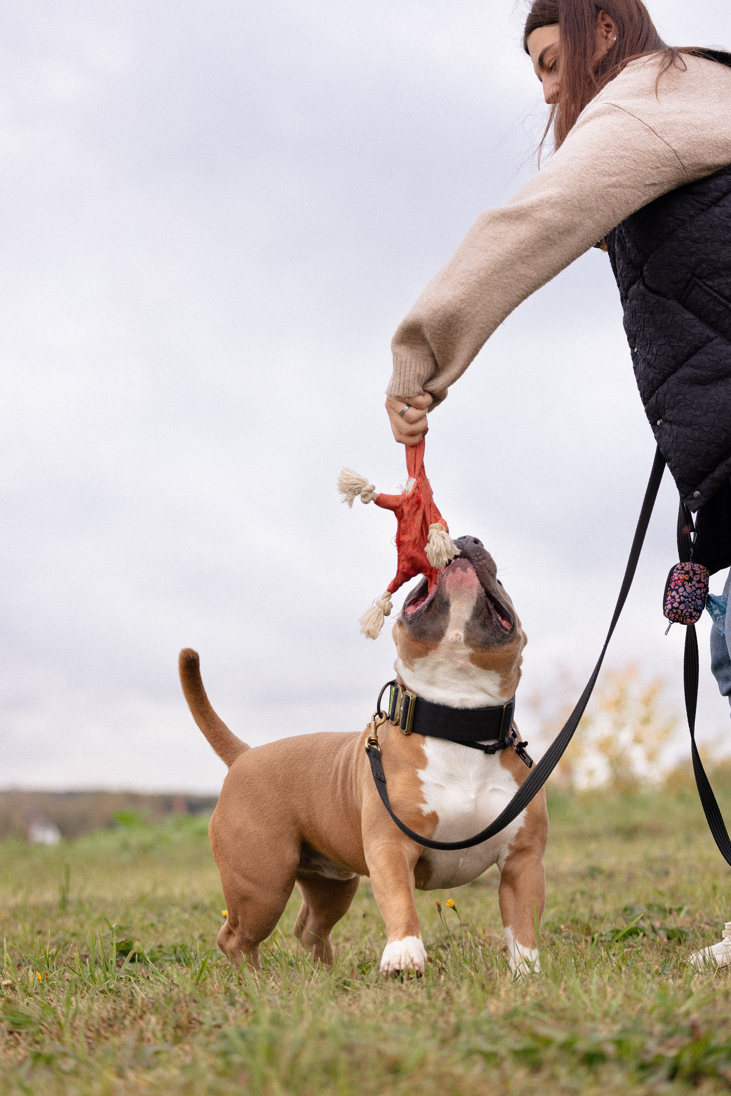 Алена и Тор. Фотограф и видеограф анималист Аганина Дарья