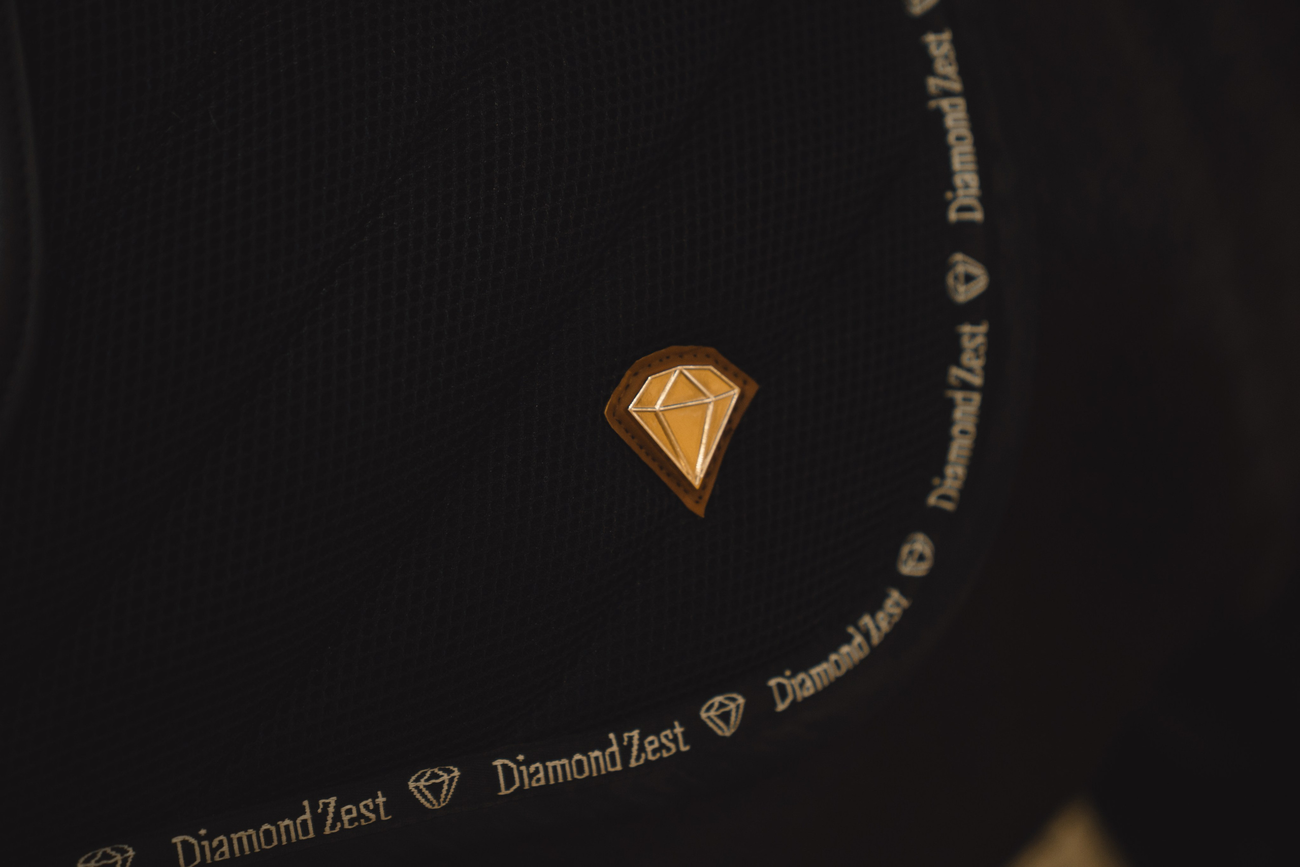 Алиса и Фантом. Свадебный и репортажный фотограф Ростов-на-Дону Алексей Гуль