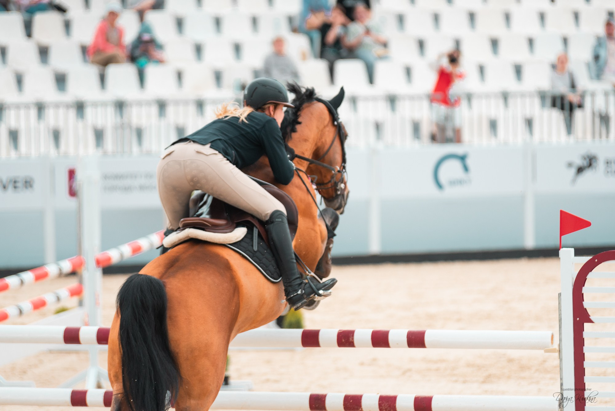 BITRIVER CUP 2023. Конный фотограф Куракина Дарья • Фотосессии с лошадьми