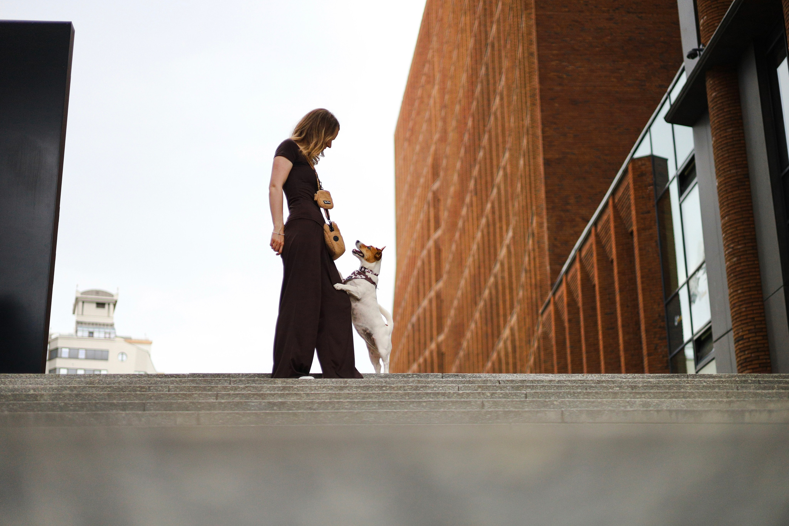 Холли и Катя. Фотограф-анималист Ксения Шевцова|Москва