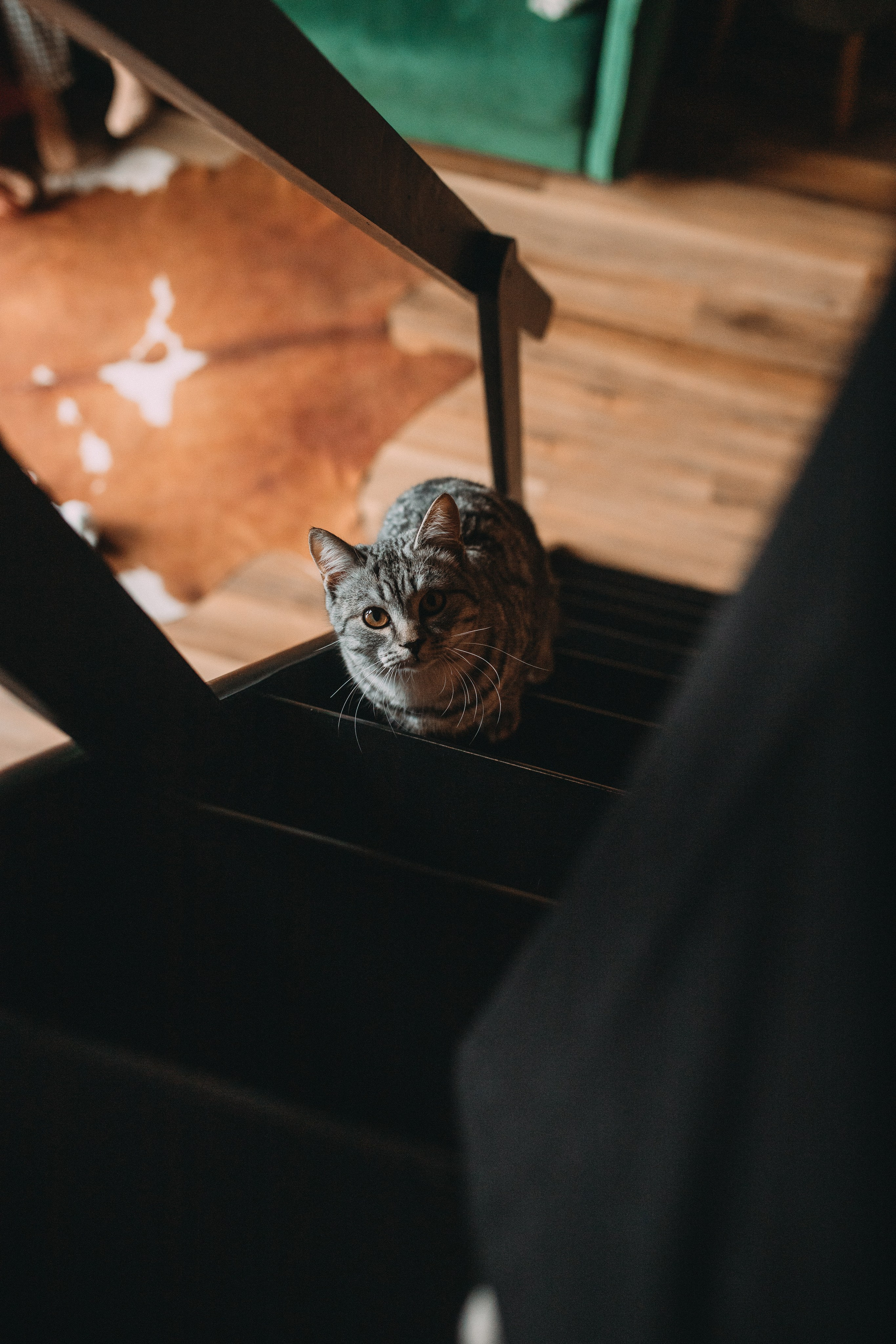 Треугольный домик. Главная