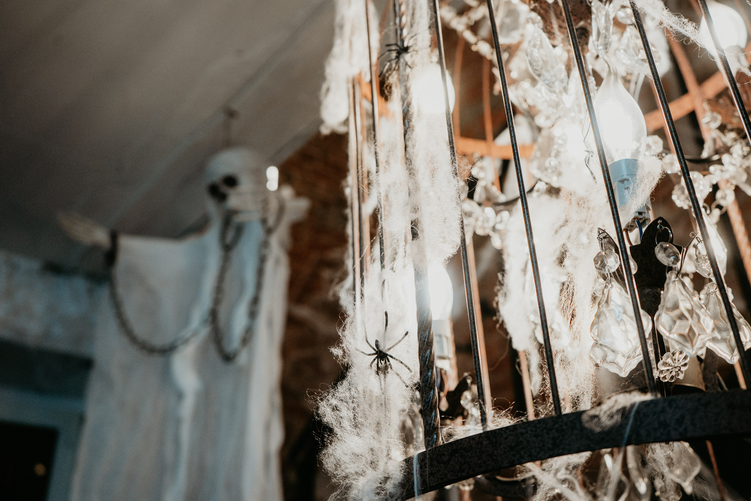 Кооператив Halloween. Концептуальный фотограф Шлыкова Ольга