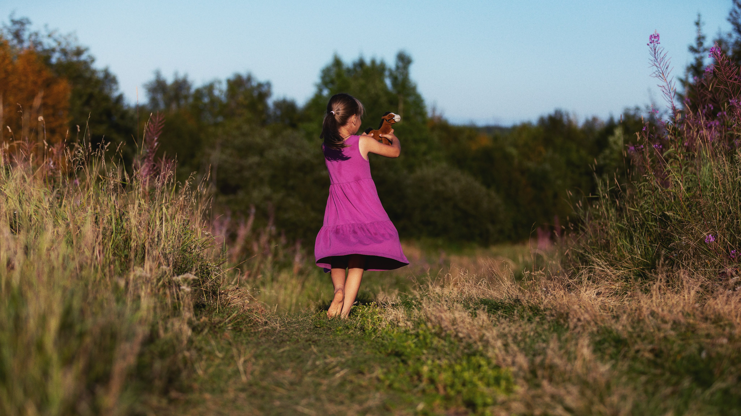 Мечта. Фотограф — путешественник Светлана Романовская