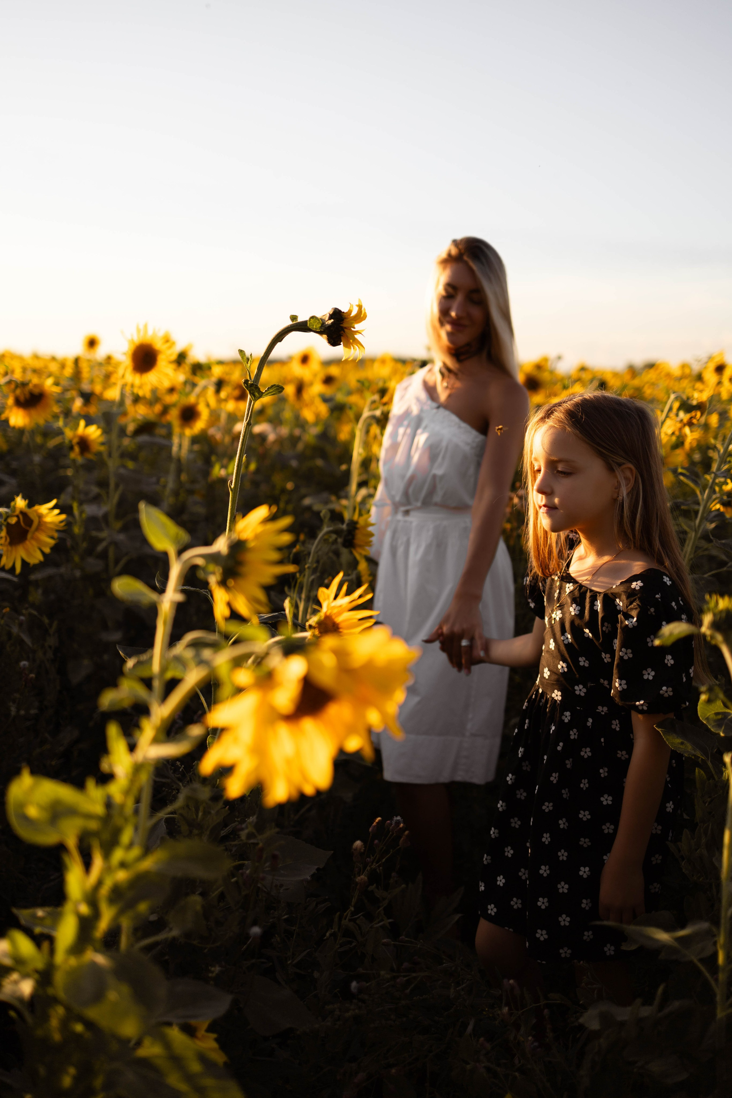 Альбом 7. Семейный фотограф Елена Шаяпова