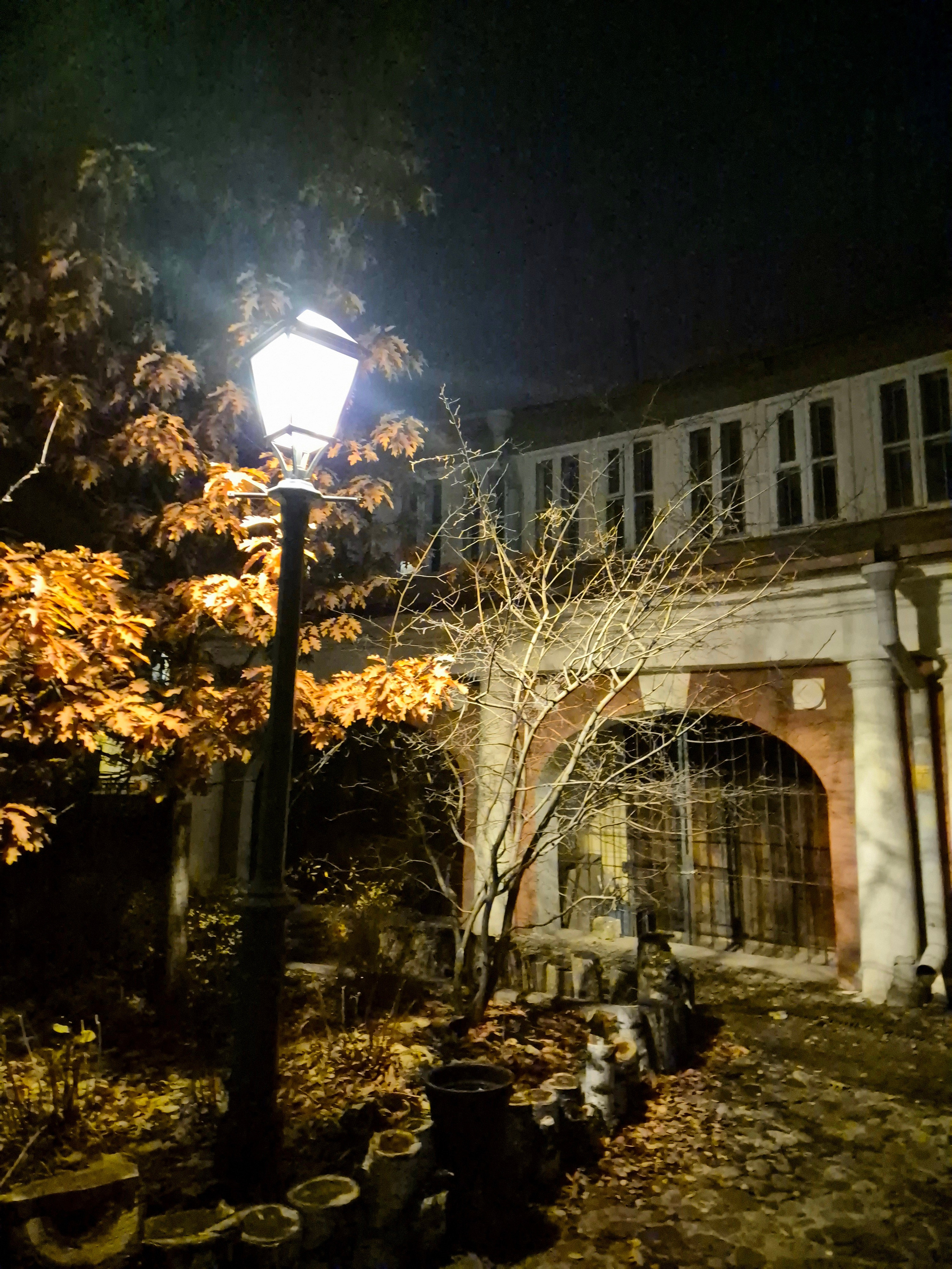 И там же рядом дом с циклоференциями