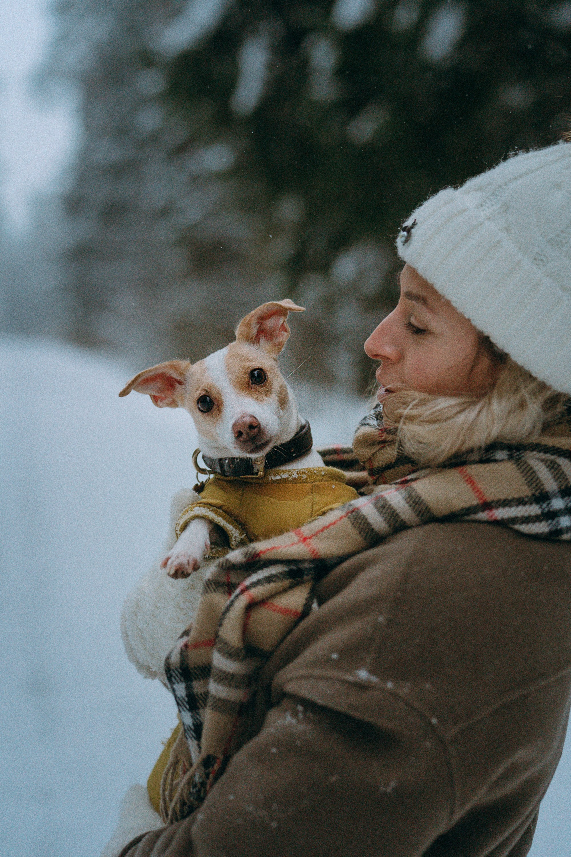 Алина, Ваниль и Элис. Фотограф анималист в Москве и Санкт-Петербурге Свиридова Анна
