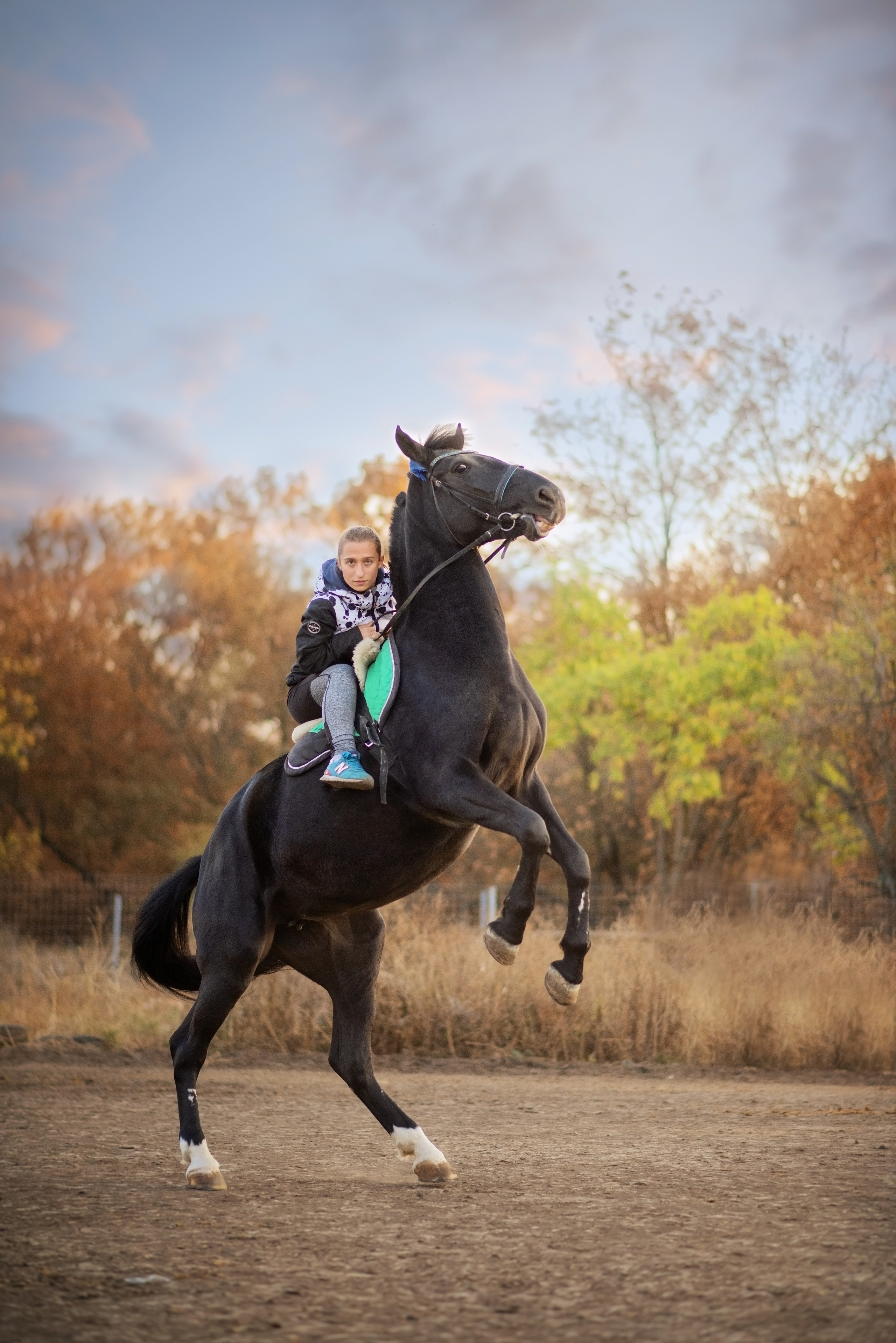 Съемки с животными. Фотограф Наталия Шляпина в Ростове-на-Дону