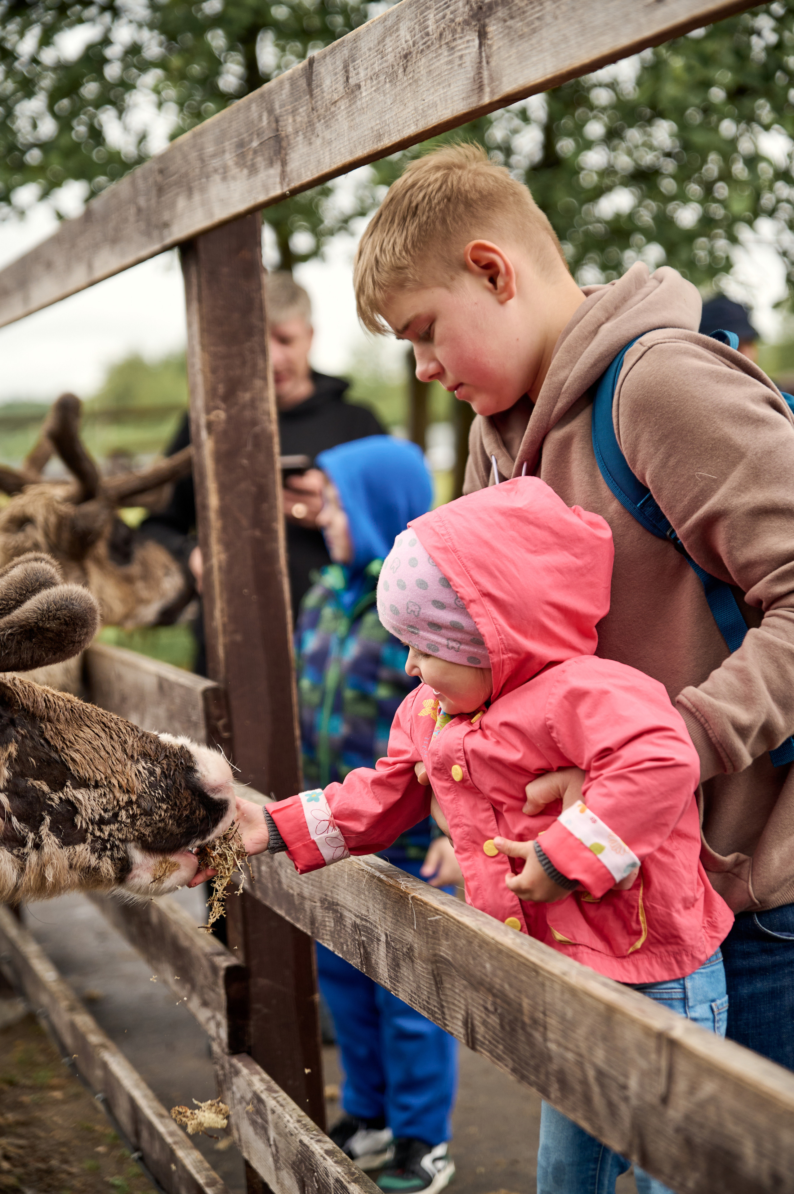 Оленья ферма «Северный олень». Фотограф Егорьевск Коломна Воскресенск