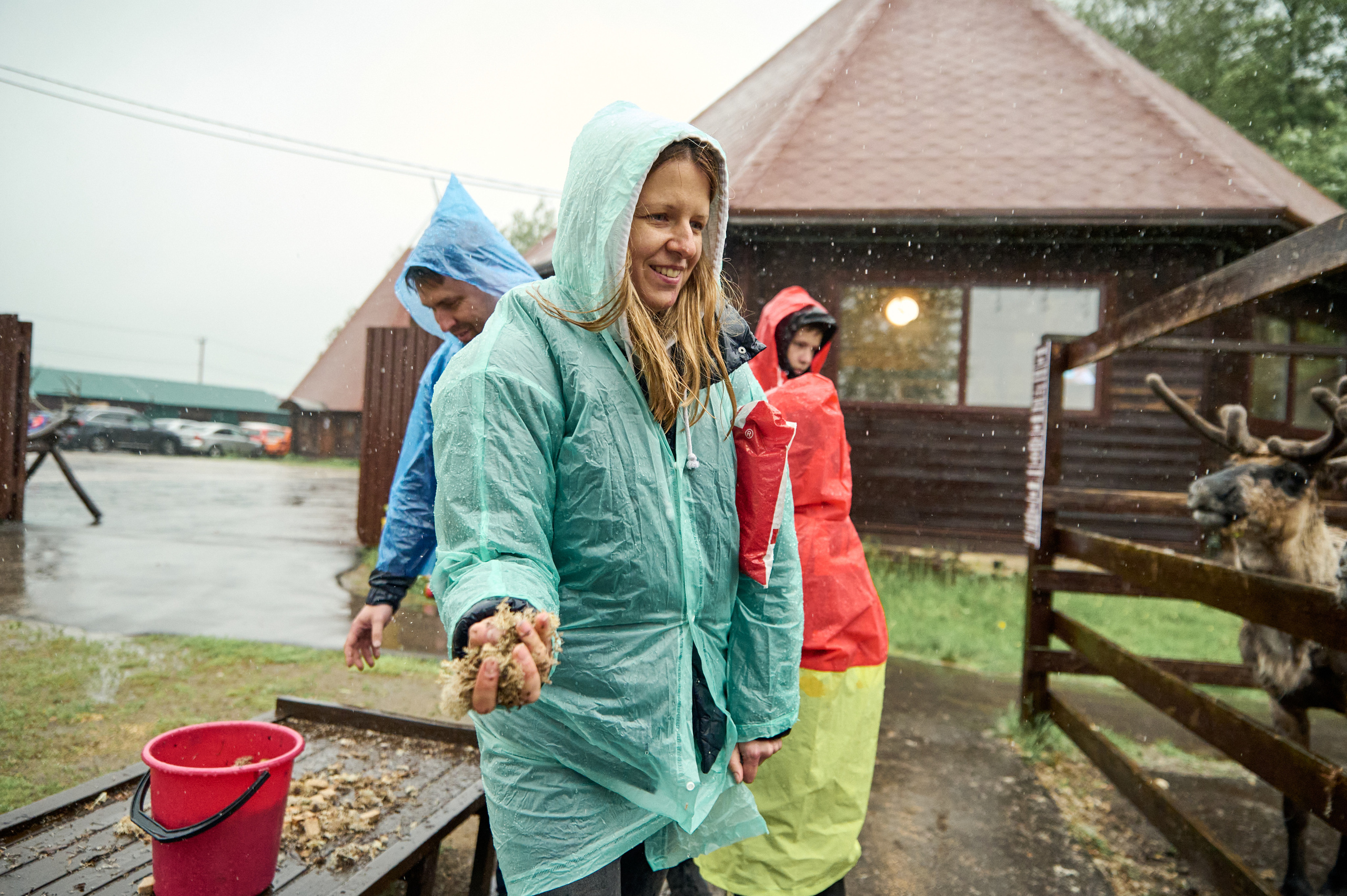 Оленья ферма «Северный олень». Фотограф Егорьевск Коломна Воскресенск