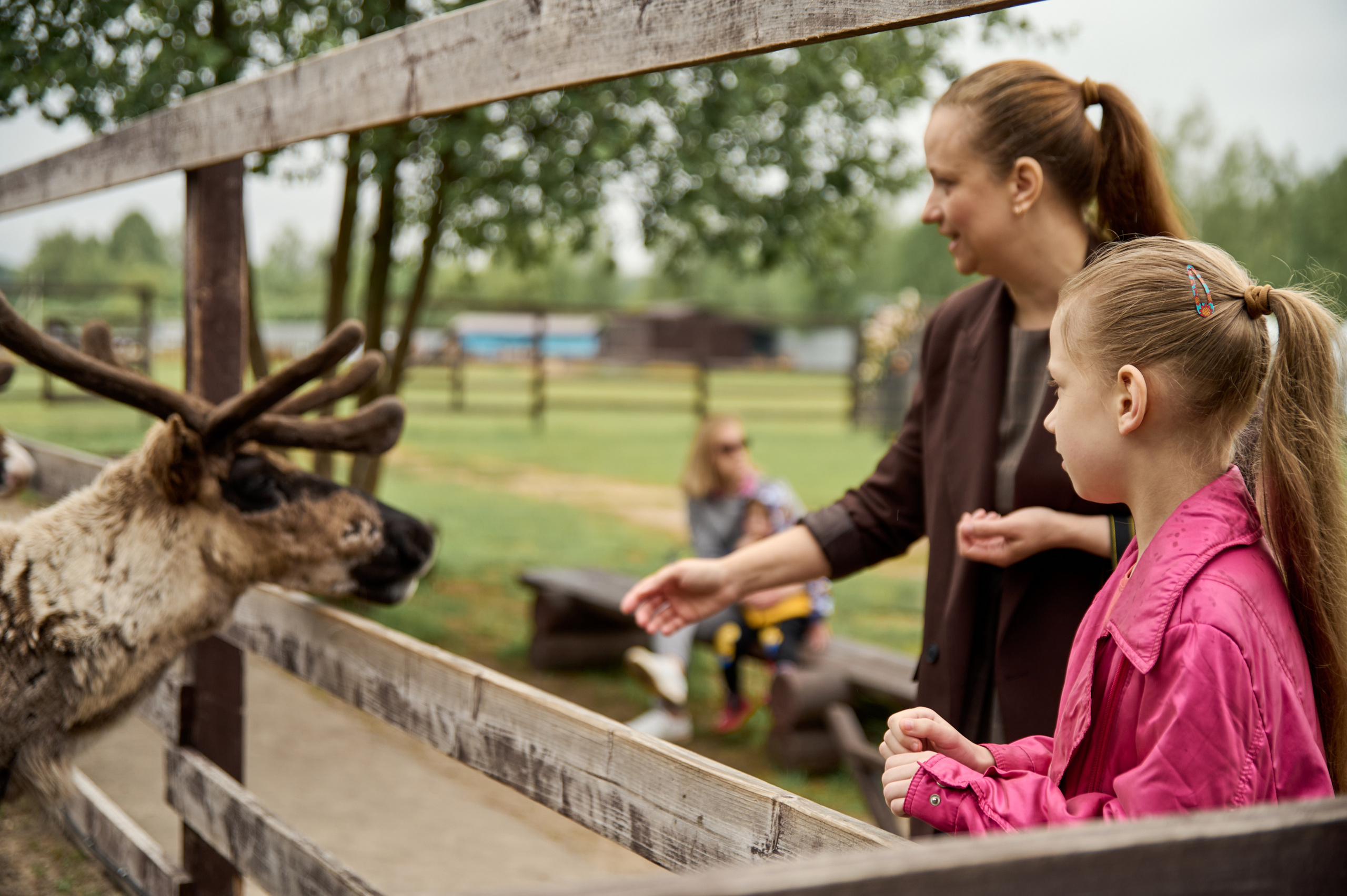 Оленья ферма «Северный олень». Фотограф Егорьевск Коломна Воскресенск