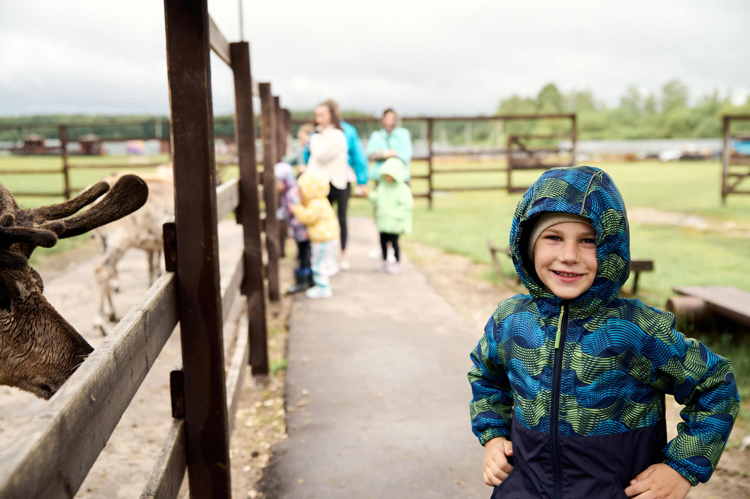 Оленья ферма «Северный олень». Фотограф Егорьевск Коломна Воскресенск