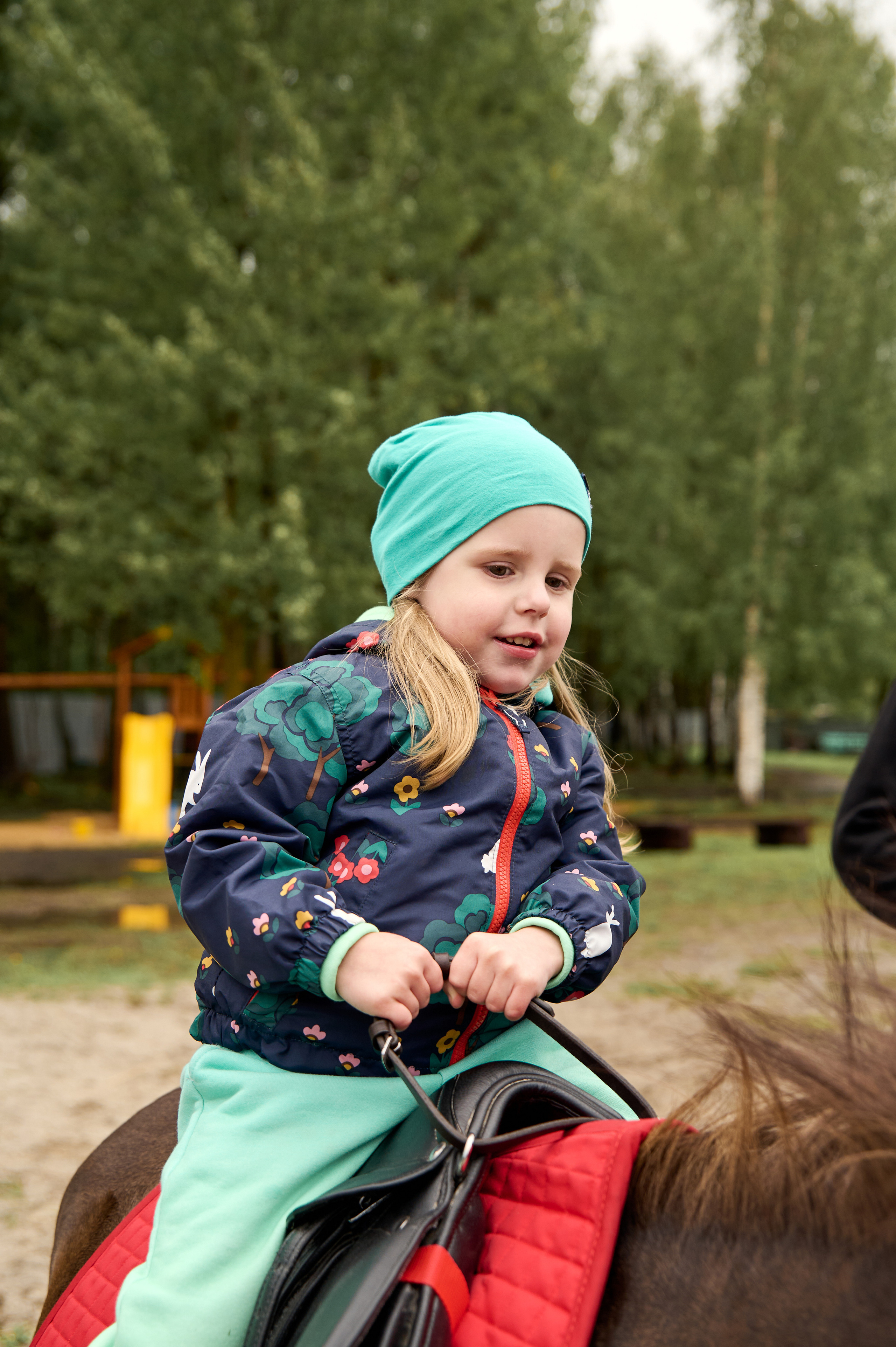 Оленья ферма «Северный олень». Фотограф Егорьевск Коломна Воскресенск