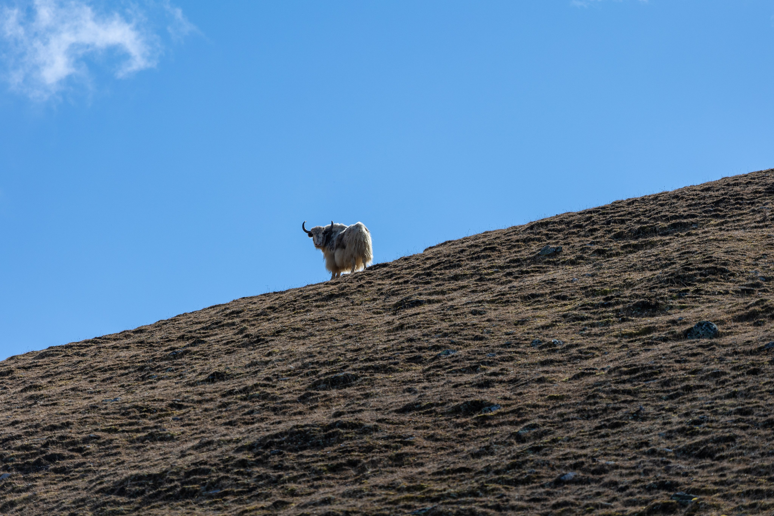 Россия. Северный Кавказ. Добродеева Алла фотограф, Москва